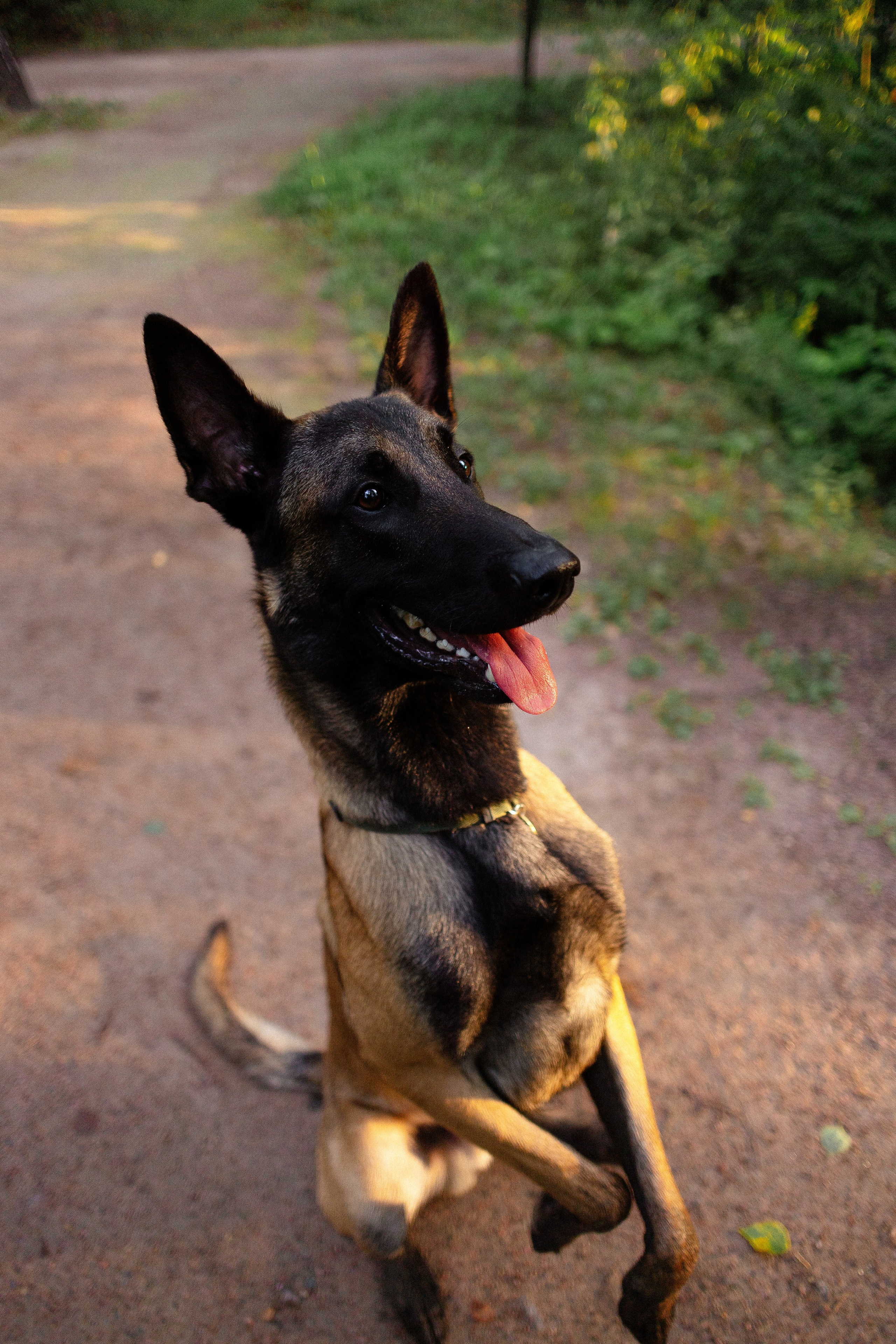 Галина и Кодекс. Фотограф и видеограф анималист Аганина Дарья