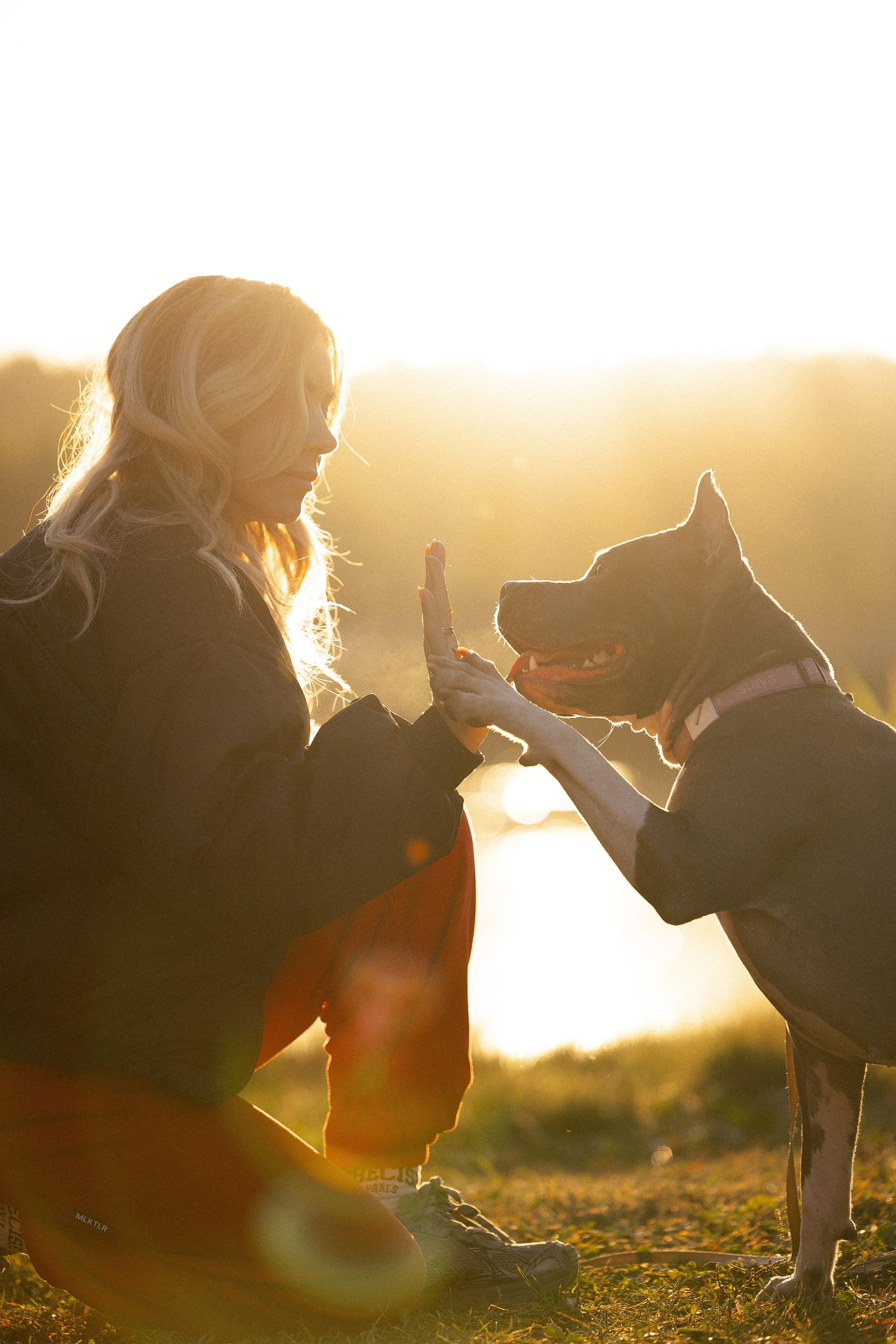 Катя, Леша, Лея и Трой. Фотограф и видеограф анималист Аганина Дарья
