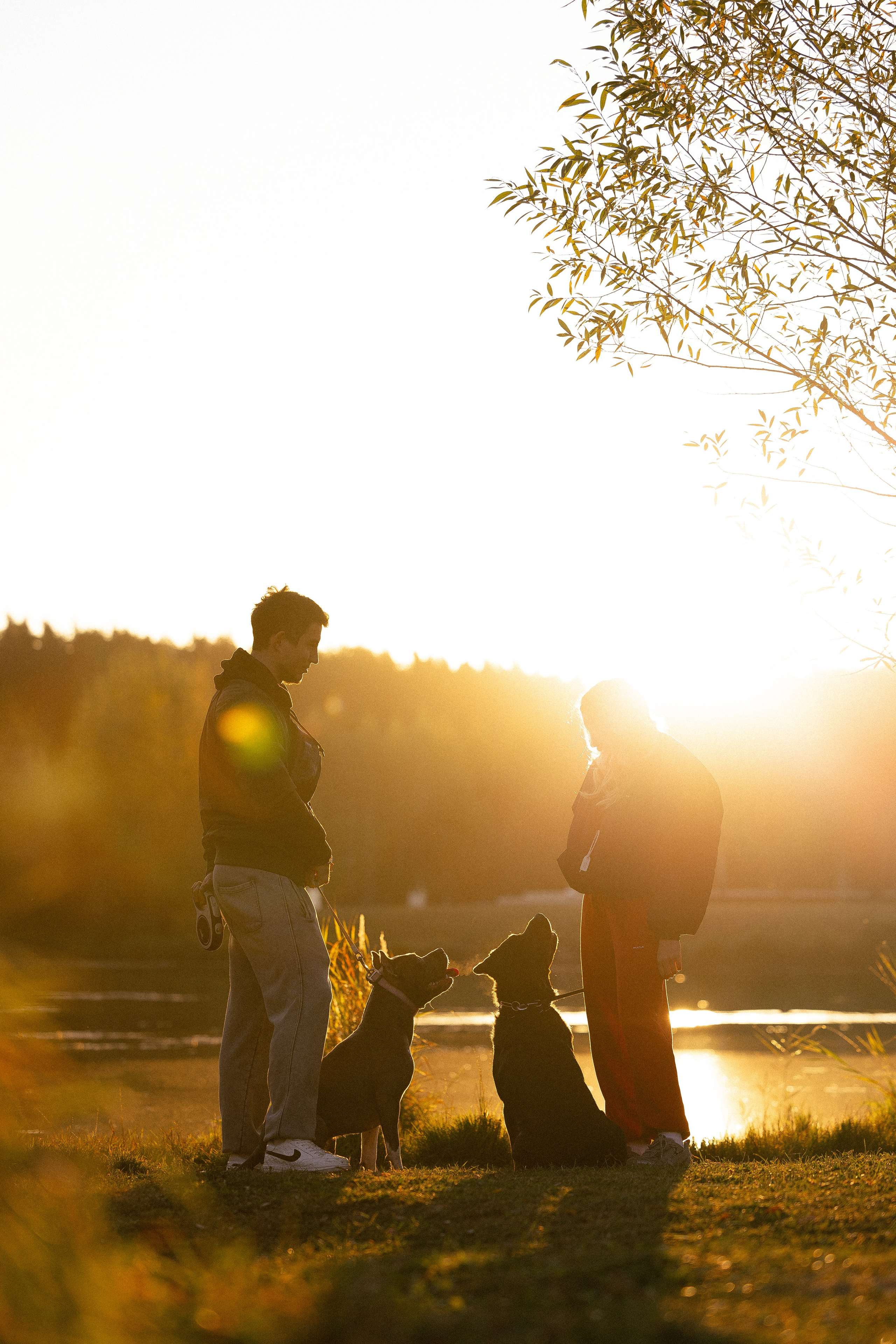 Катя, Леша, Лея и Трой. Фотограф и видеограф анималист Аганина Дарья