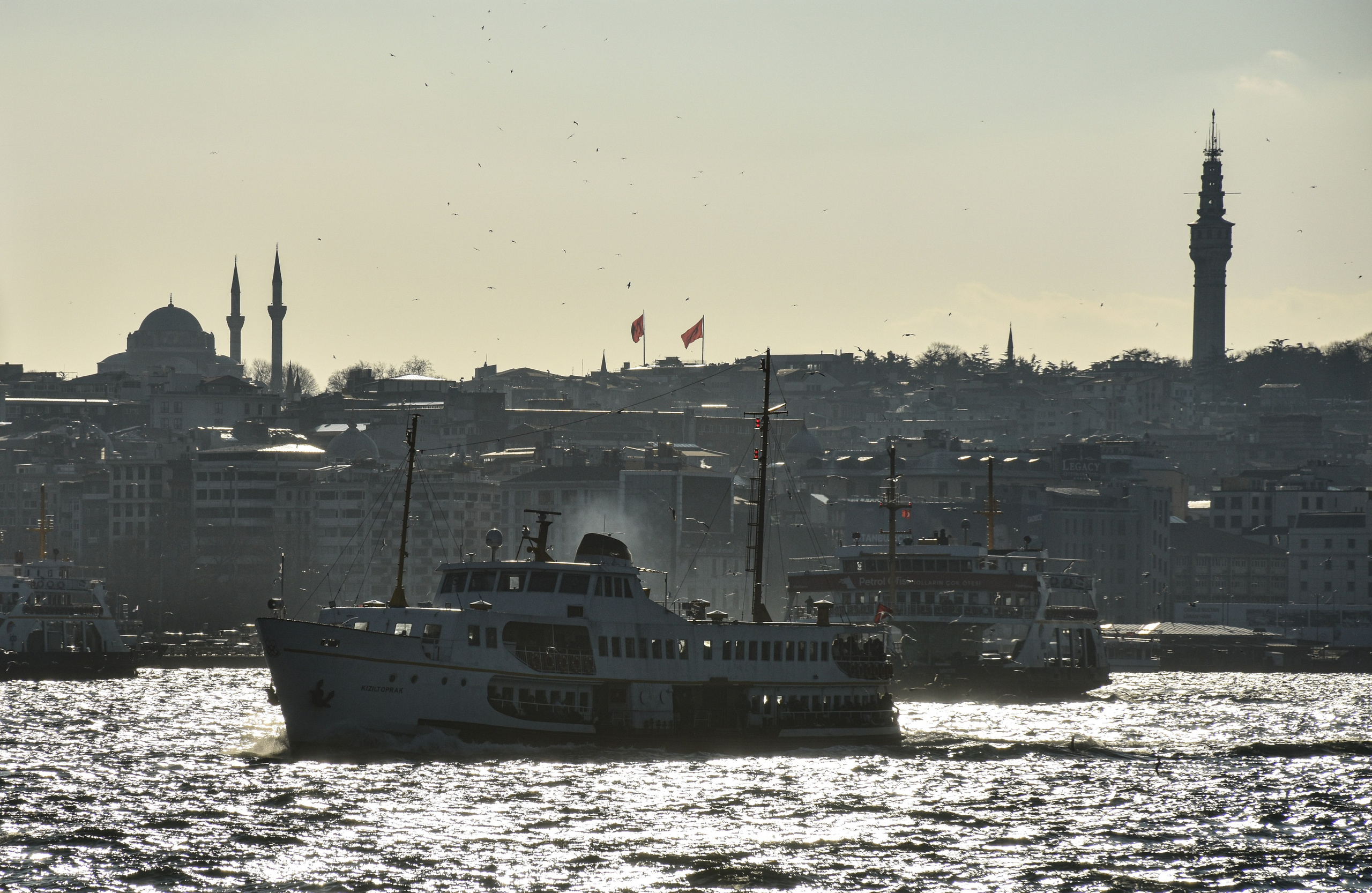 Стамбул — февраль 24. В созвучии с природой. Фотограф Светлана В. Пронина, Москва