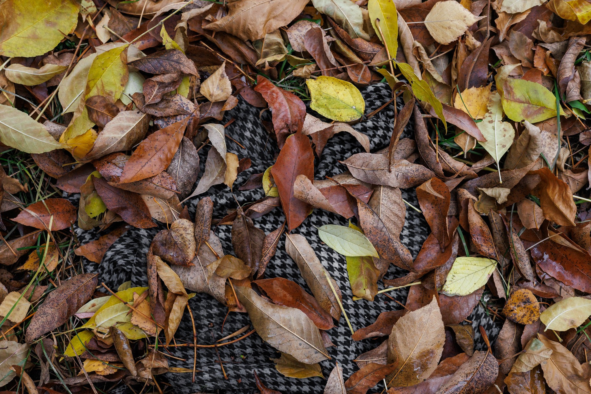 Дрейф фотокружка и Полина, 19.10.25