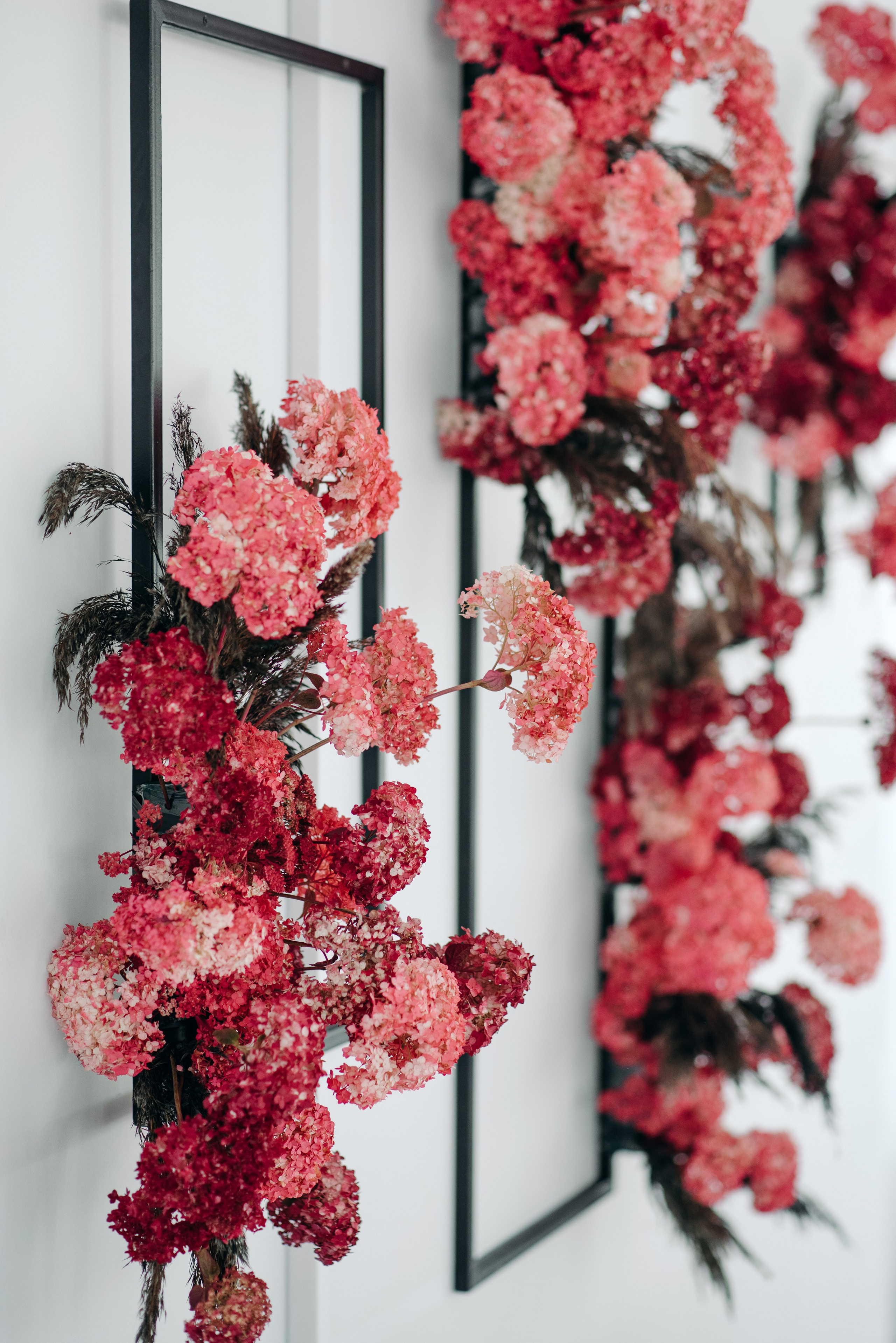 Николай и Анита. Фотограф Тривашкевич Александр