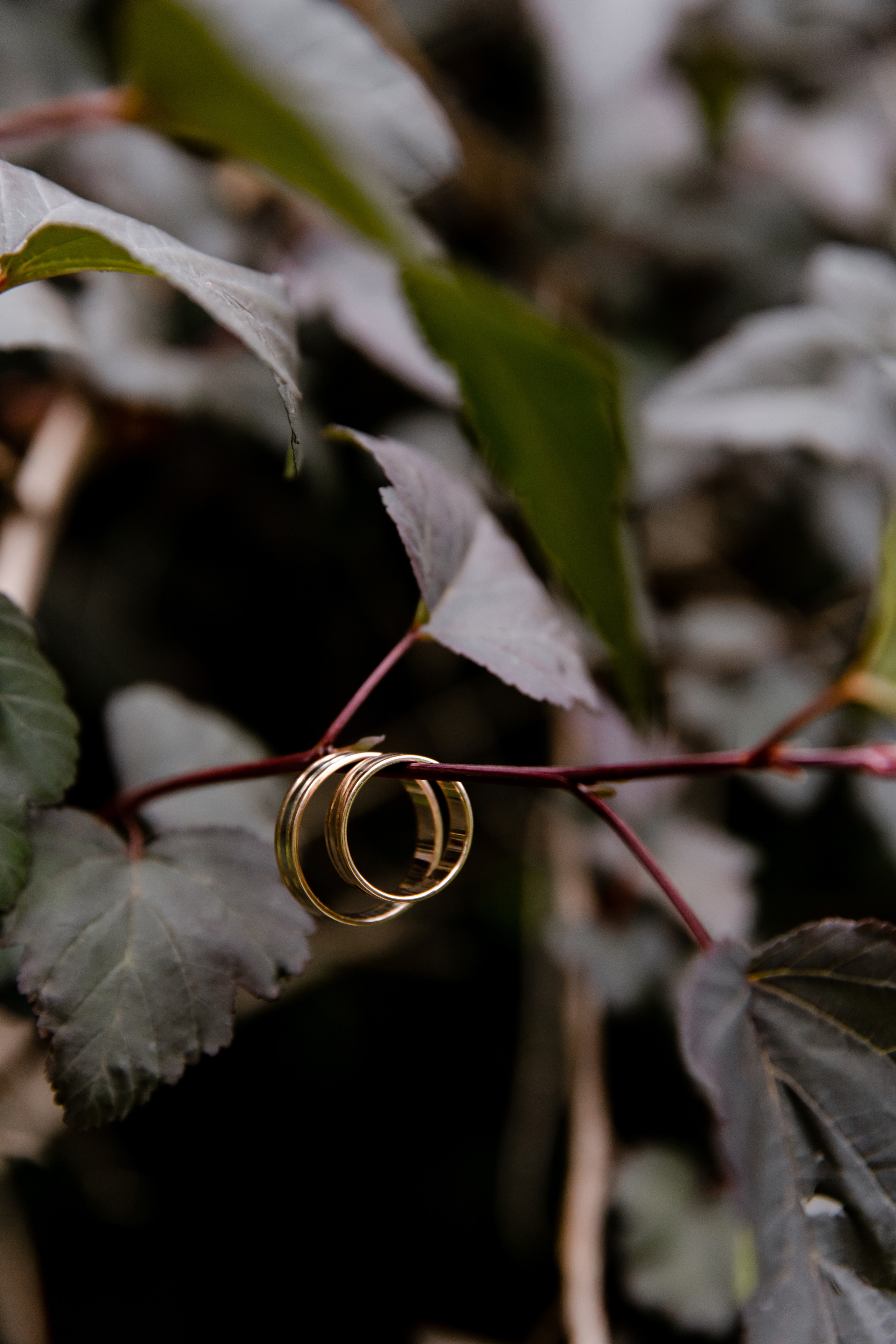 Свадебный день Влада и Марины. Свадебный фотограф Анна Бабахина