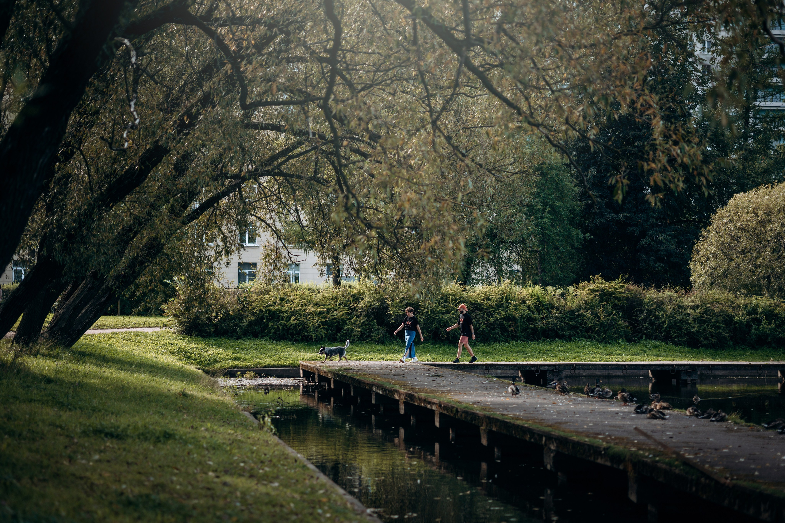 Кода и ее семья. Фотограф — Анималист | Санкт-Петербург