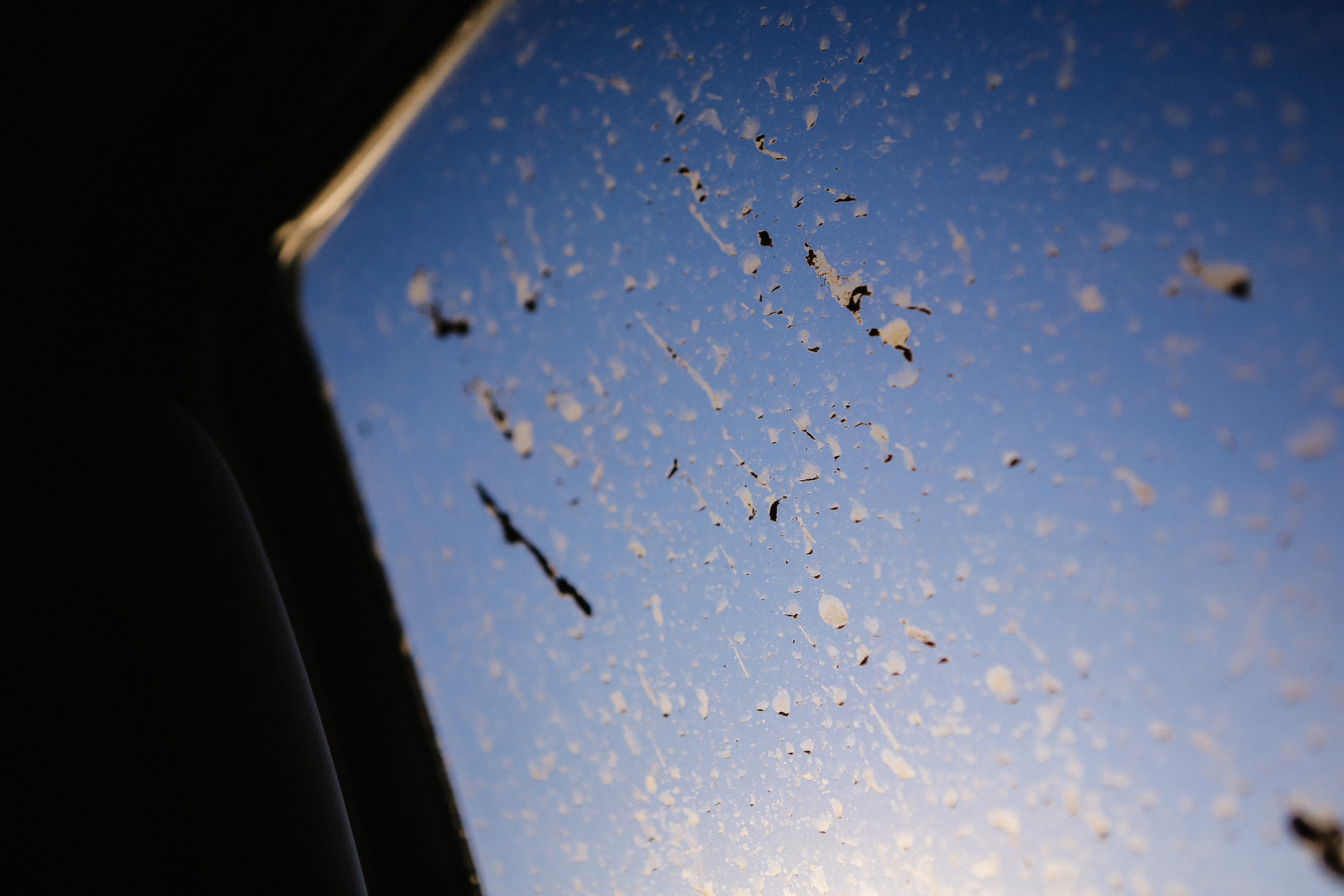 Пресс-тур для Неизвестного Кавказа. Свадебный и портретный фотограф в Пятигорске, КМВ — Власова Юля