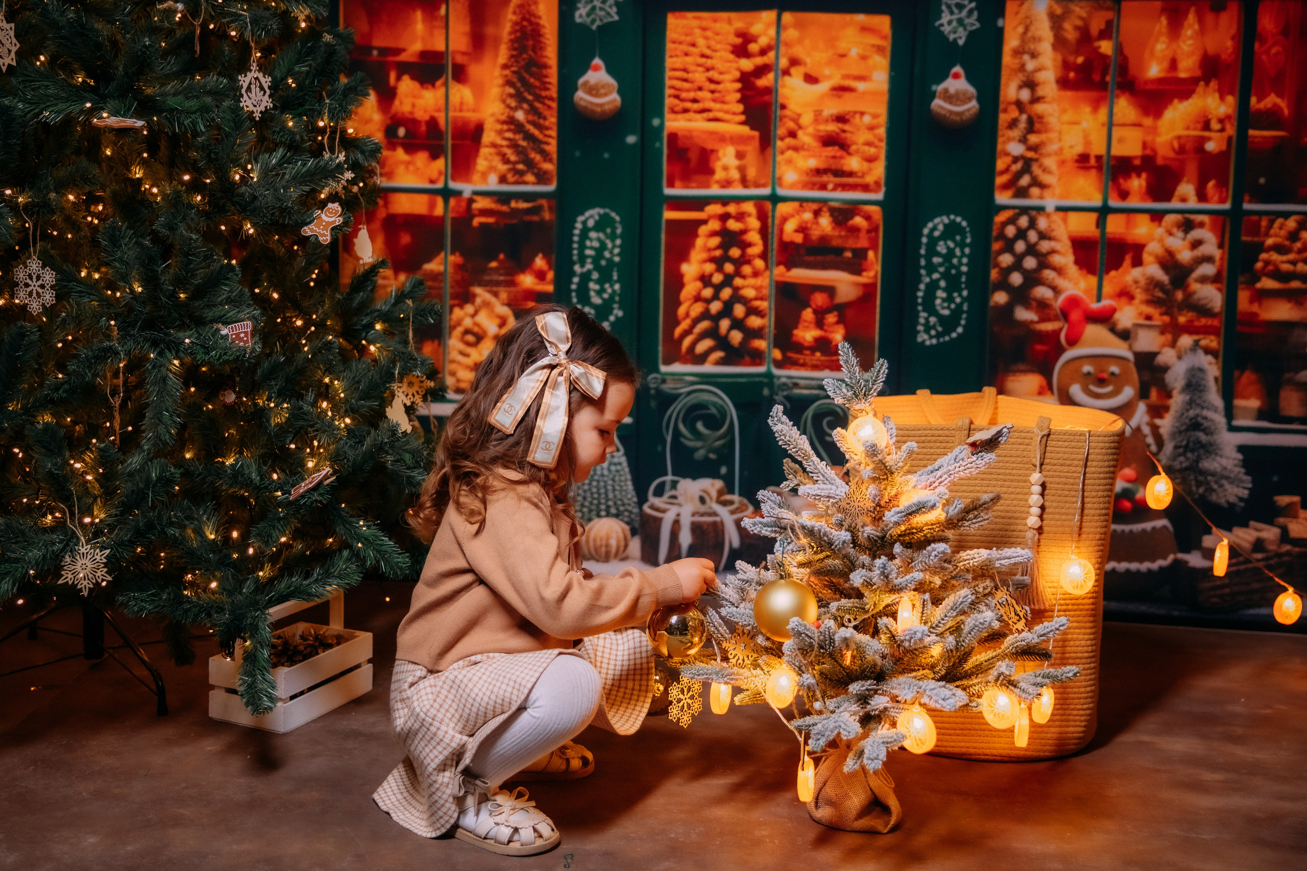 НОВЫЙ 2025 ГОД. Женский и семейный фотограф Елена Петрова