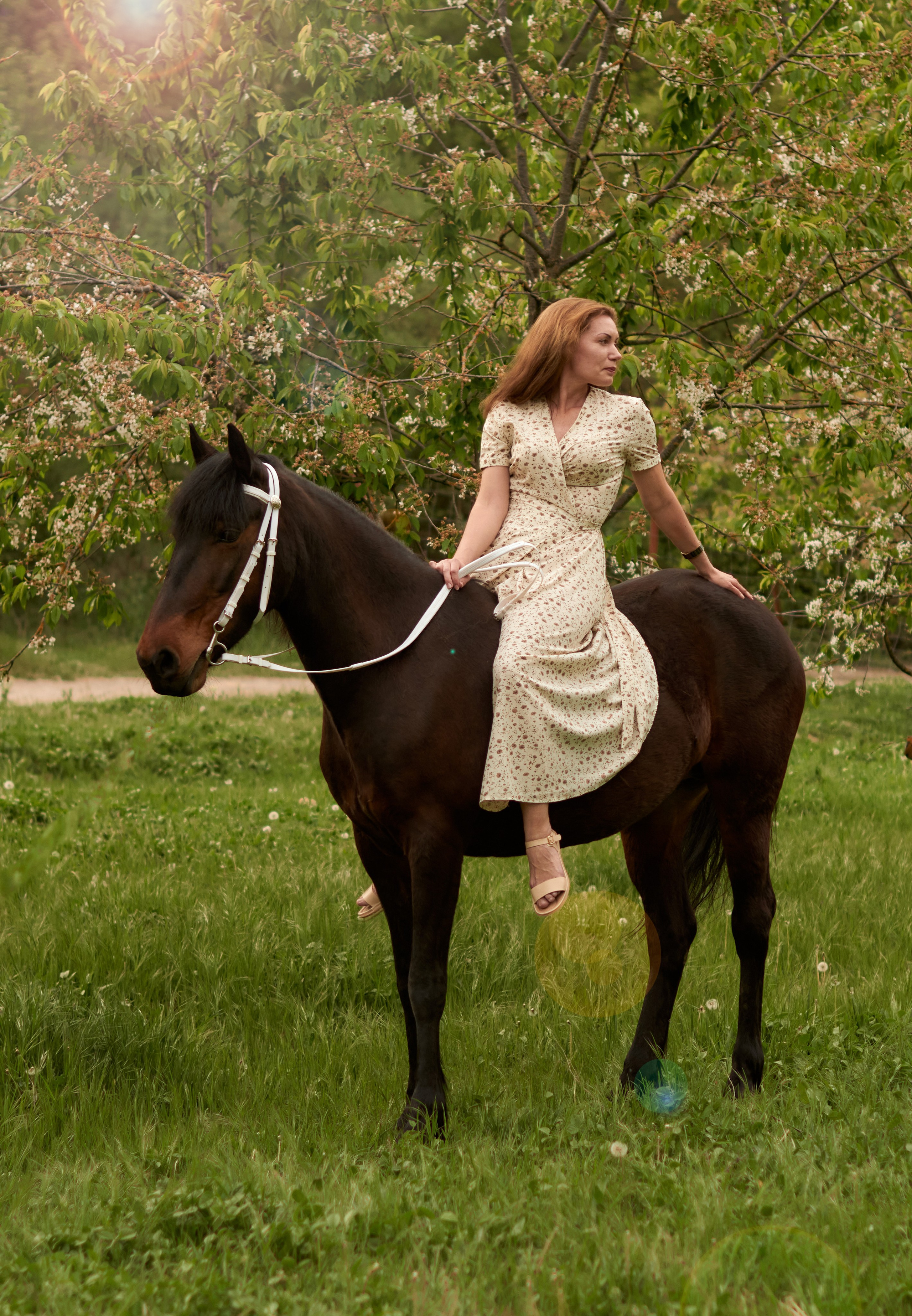 Фотосессия с лошадью Севастополь. Фотограф в Севастополе