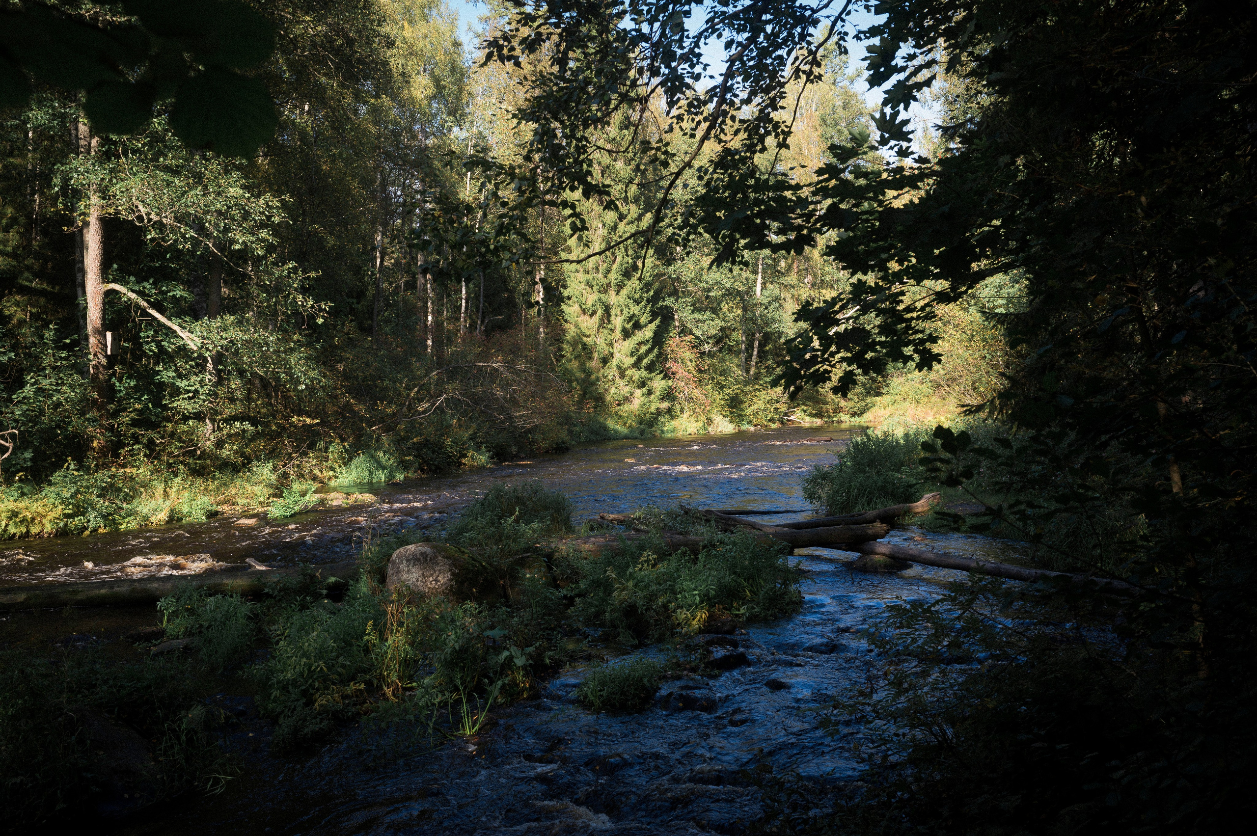 North 2024. Kartascheff