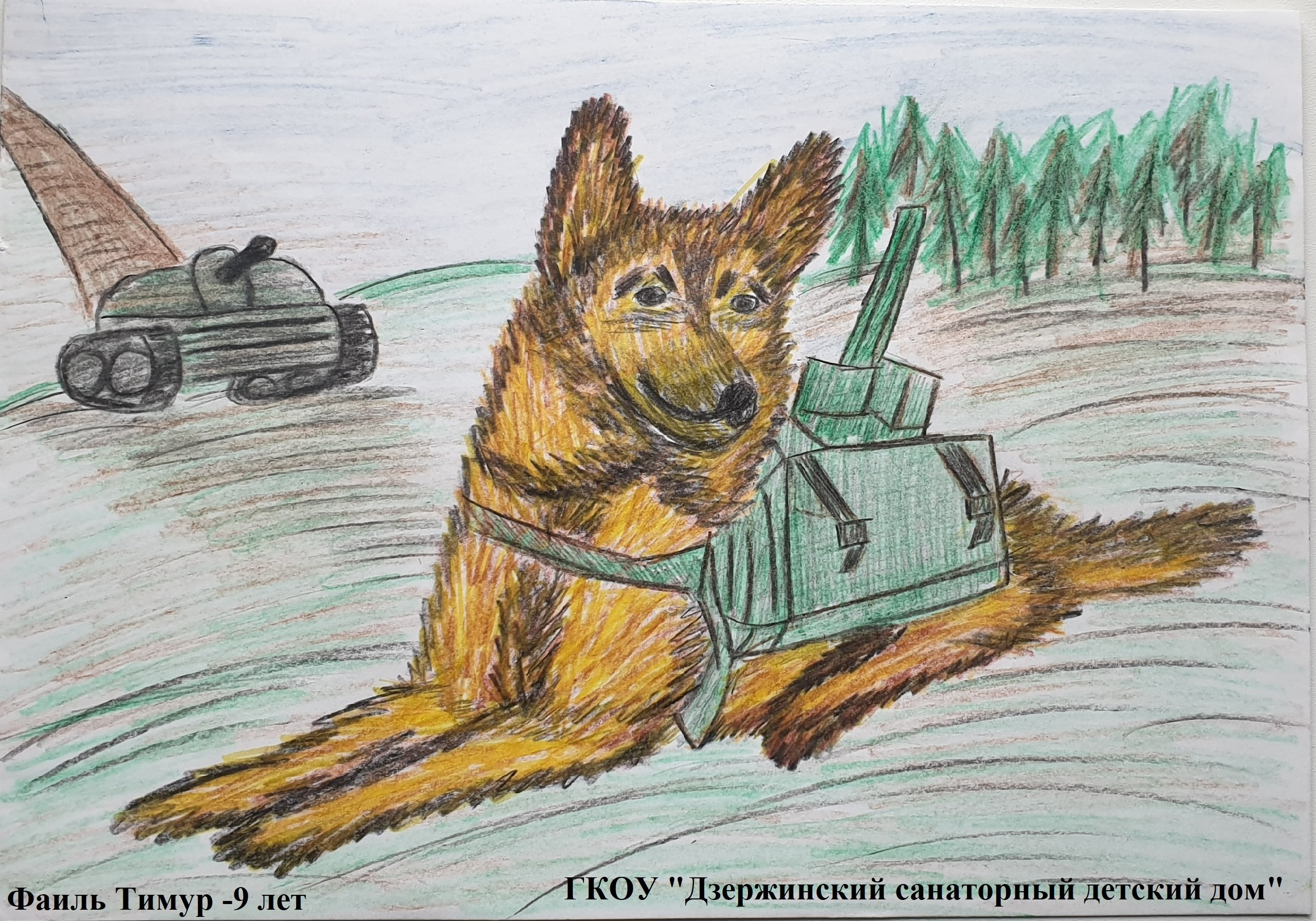 Мероприятия для юных кинологов — «Помним их имена», «Портрет фронтовой собаки». НРОО КЦ "Собаковод"