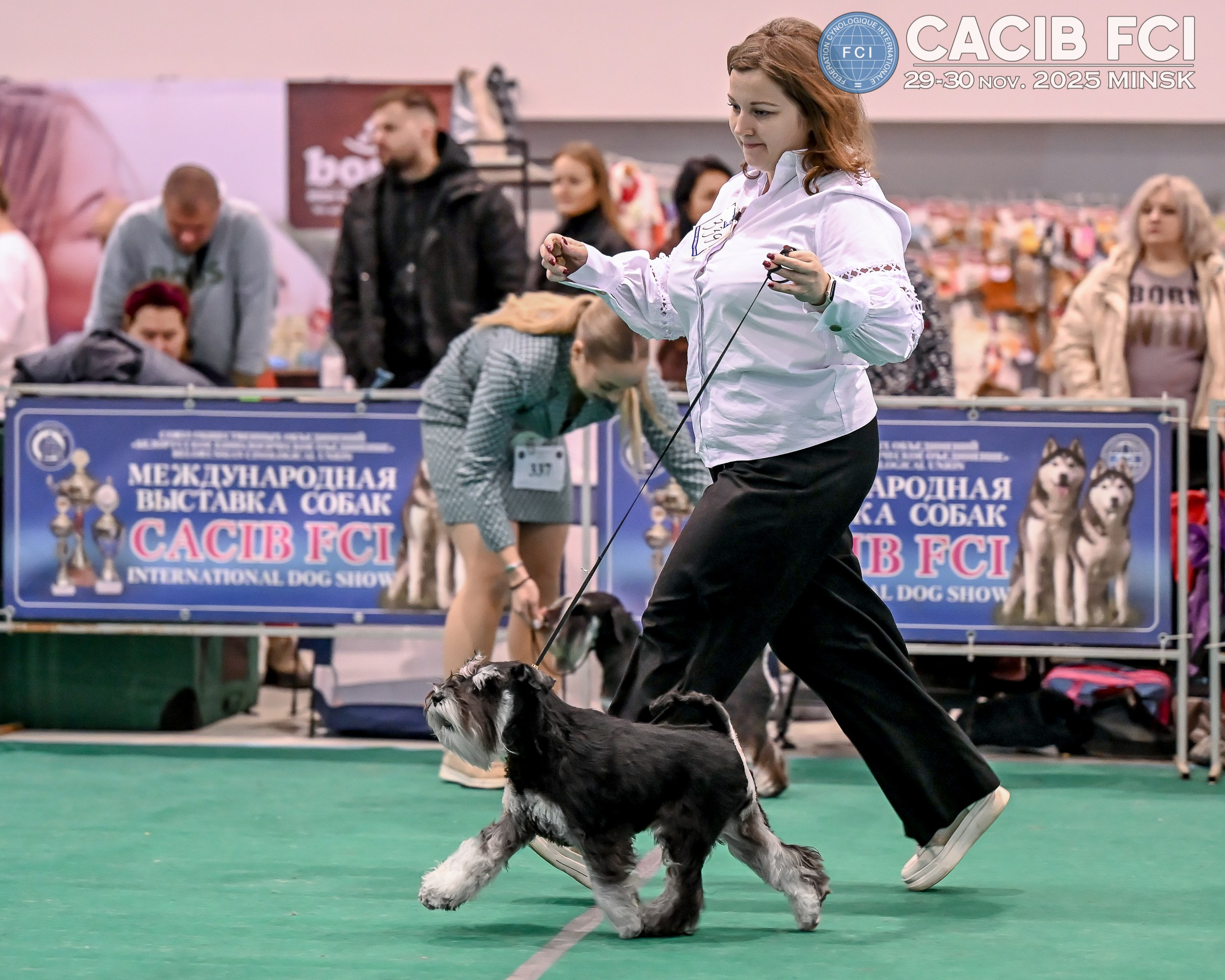 DELINSO BALANCE CZESARIA ZARI (Li Mu Zi Chinese Dragon x Delinso Balance Emiko Akemi) 