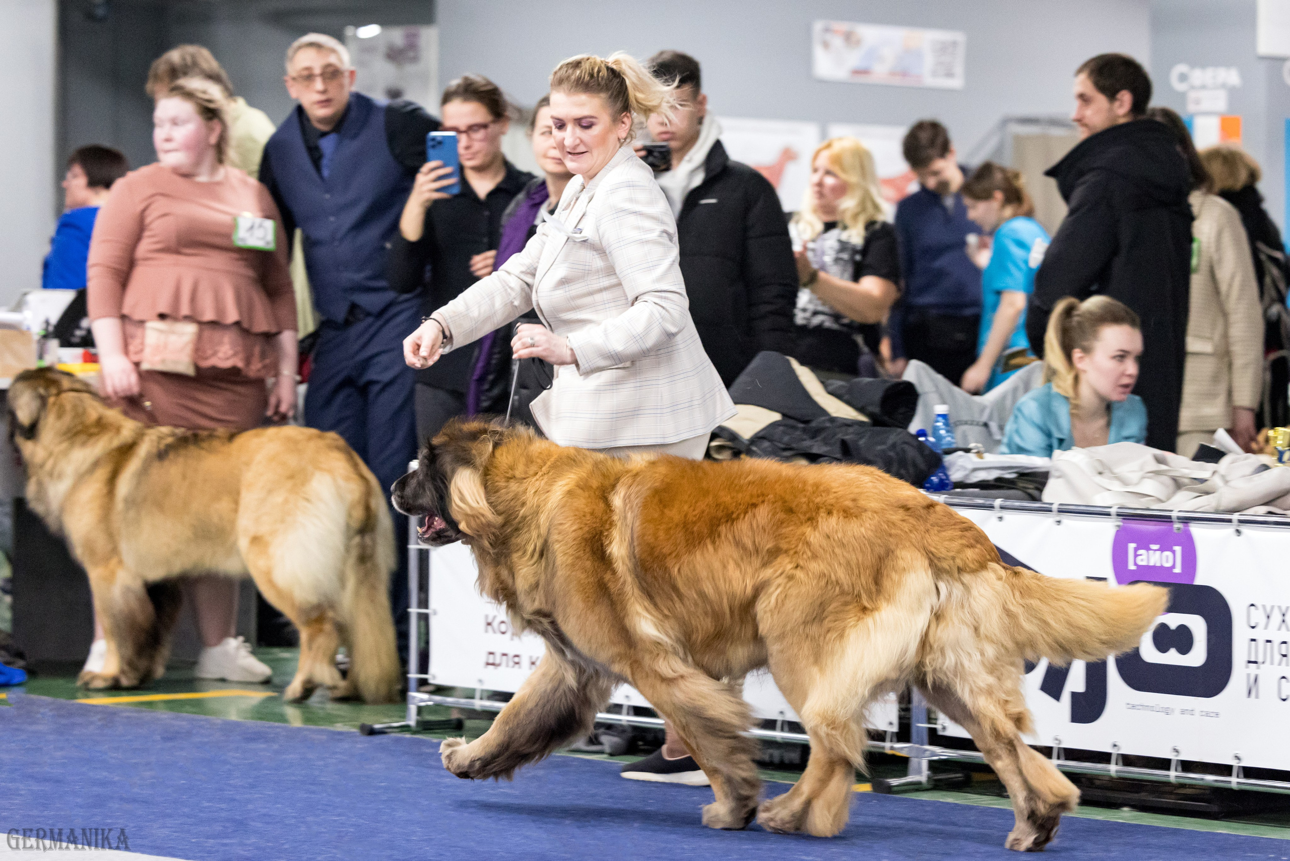Сфера 28.01. и 4.02.2024. Фотограф-анималист Юлия Германика