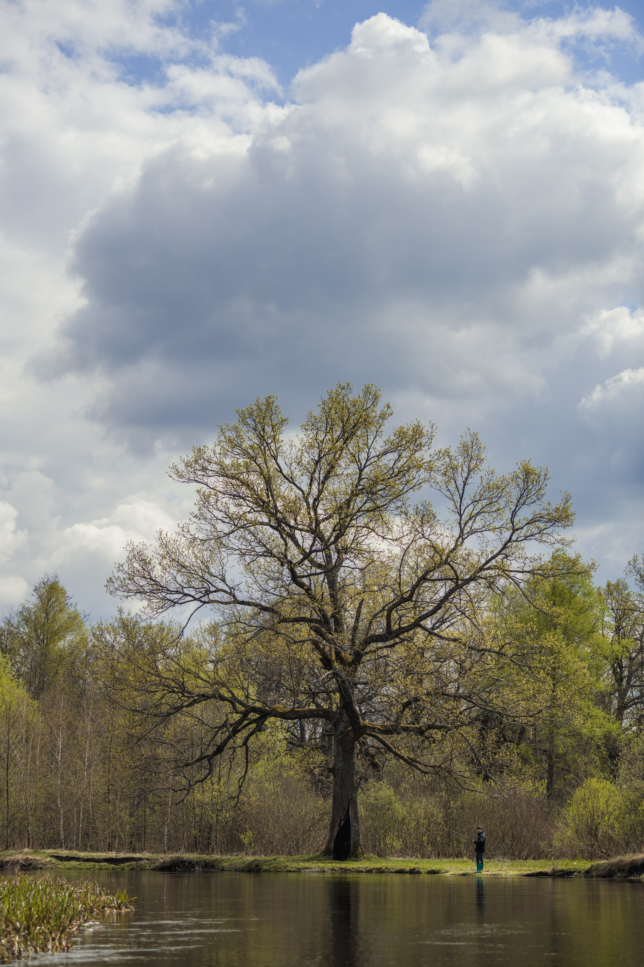 Водный поход 1-й кс по реке Случь. Репортажный фотограф Владимир Беляй