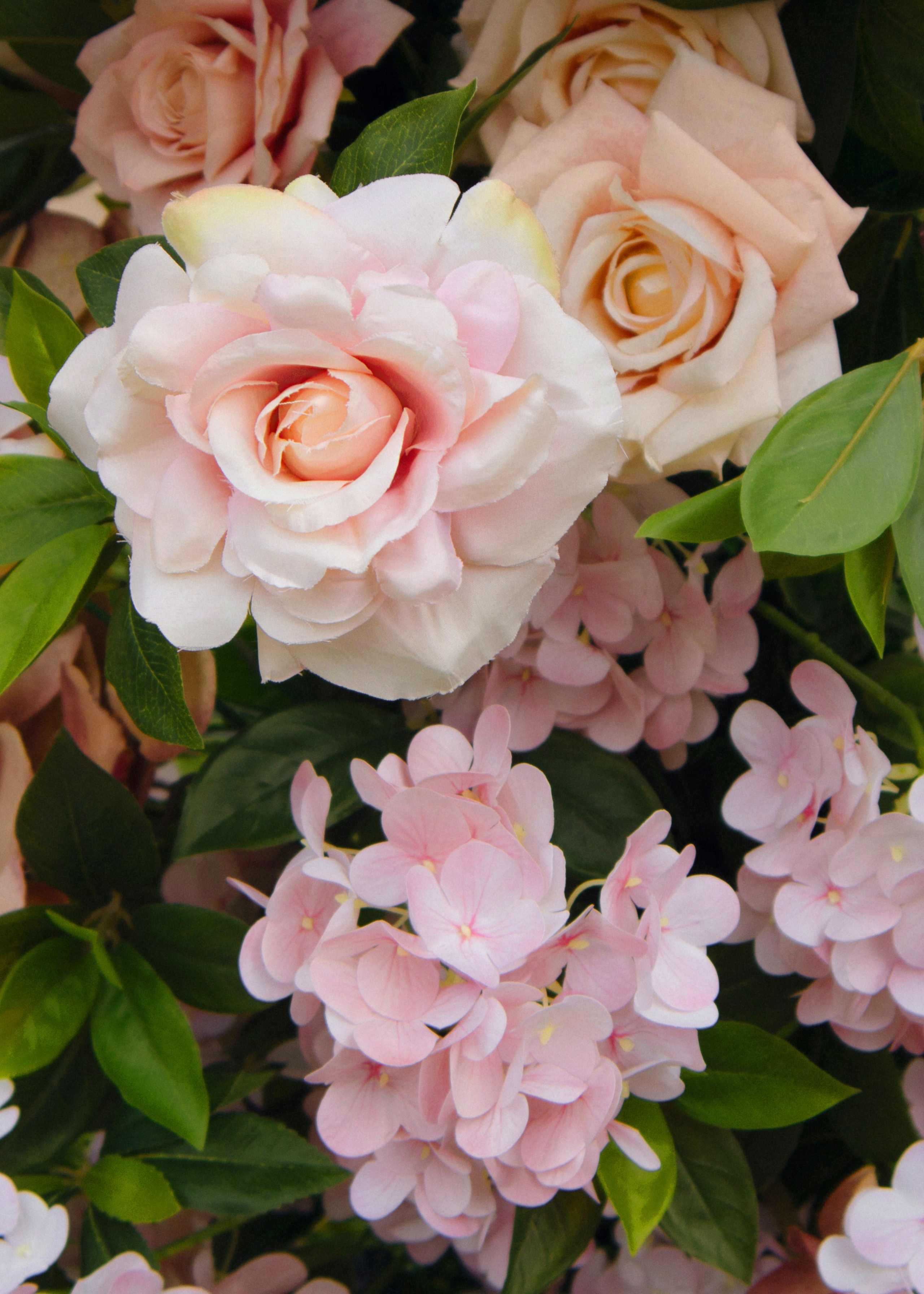 A ❤ K. Syrovatkina_Photographer.ru