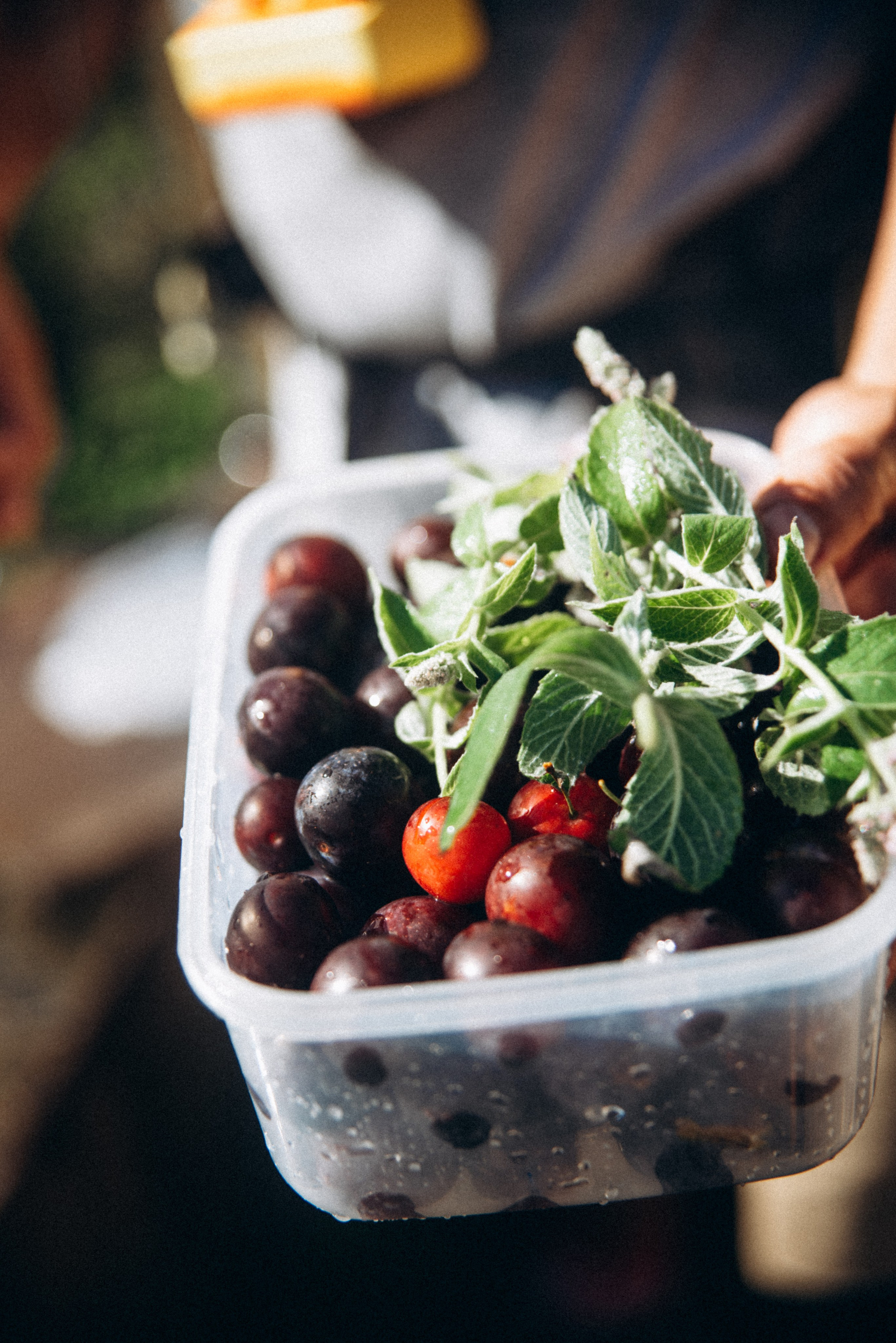 Верхняя Аджария, Грузия 🇬🇪. Anita_photo