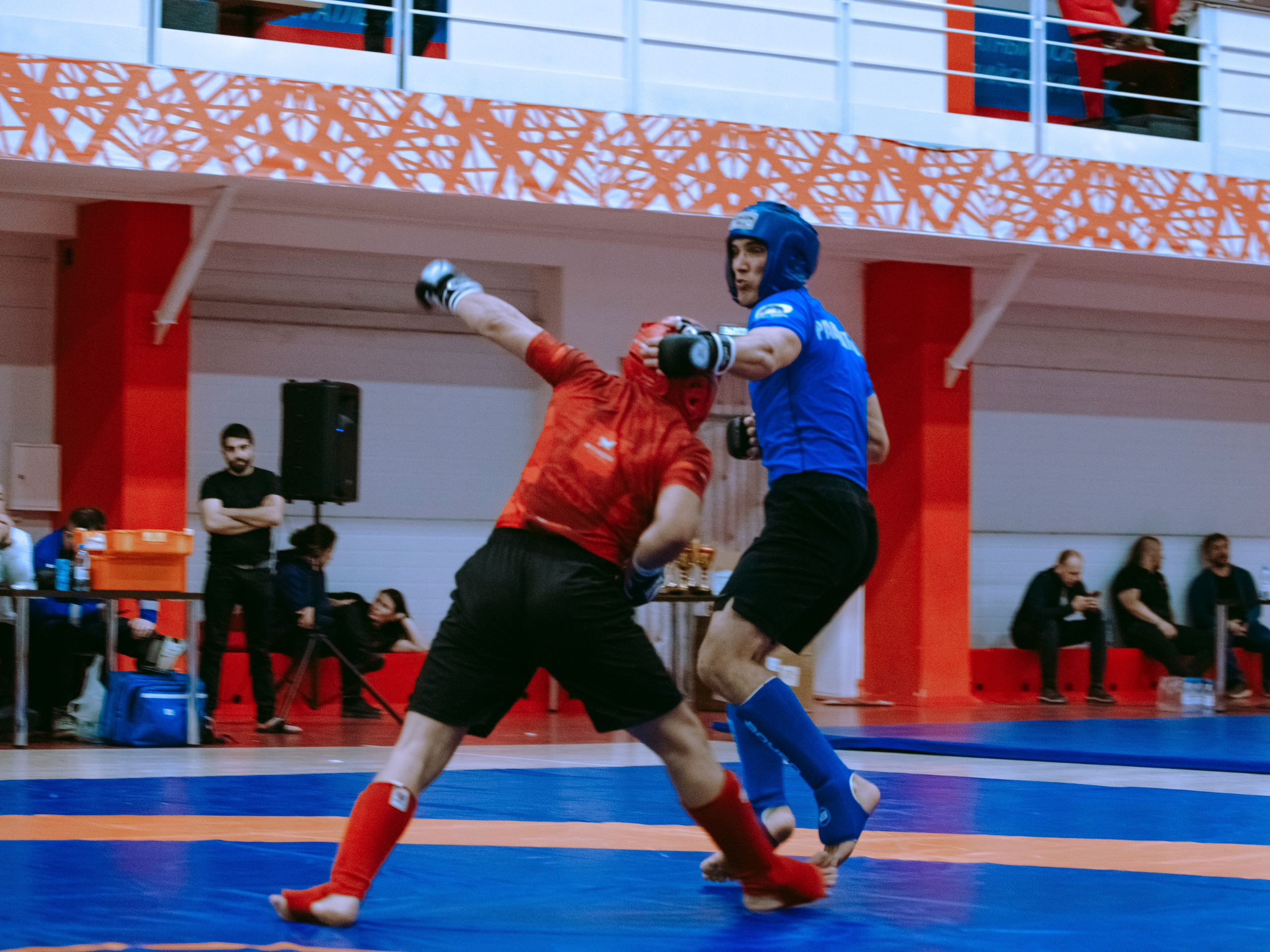 Кубок России по спортивной борьбе панкратион `23. Портретный фотограф в Москве Дарья Цезария