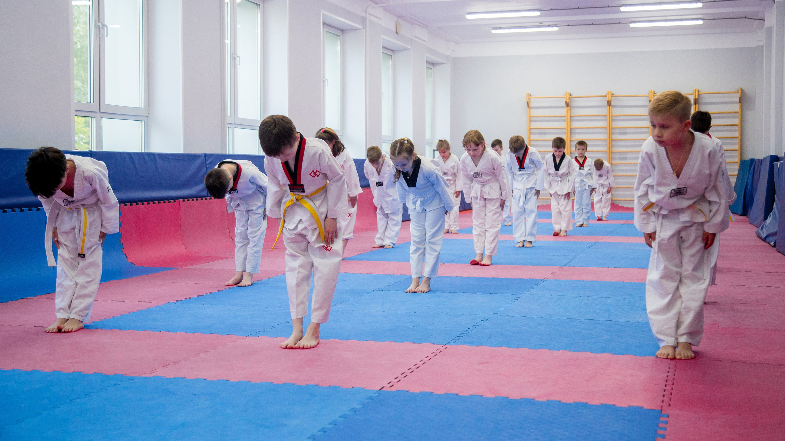 Желтый пояс по тхеквандо. Репортажный фотограф Борис Геер