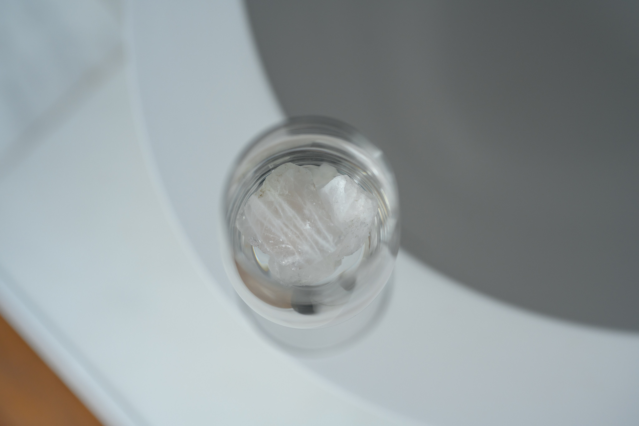 Кристина. Семейный фотограф и анималист в Москве и Московской области