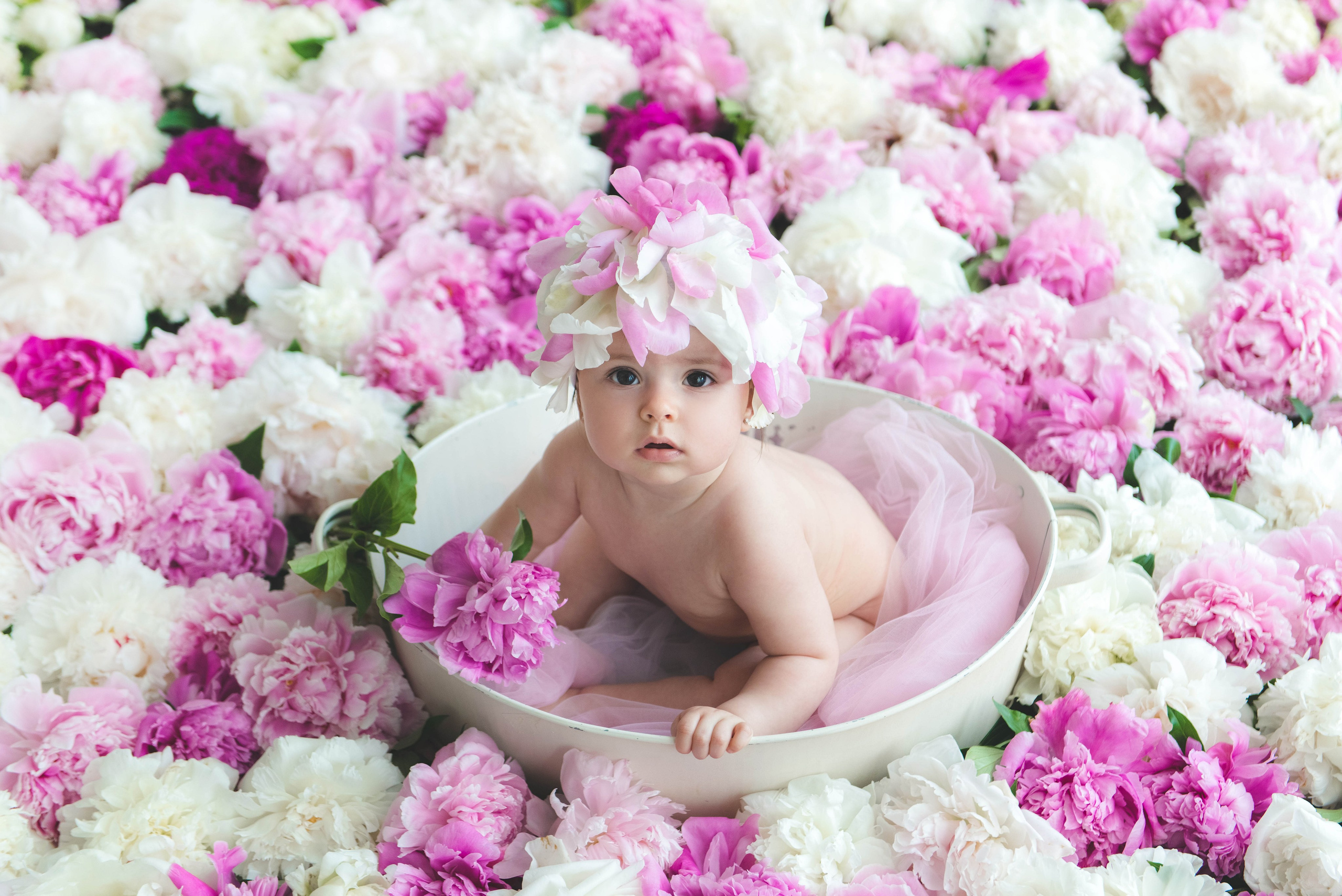 Пиончики. Фотограф новорожденных и детей в Барнауле — Екатерина Шапкина