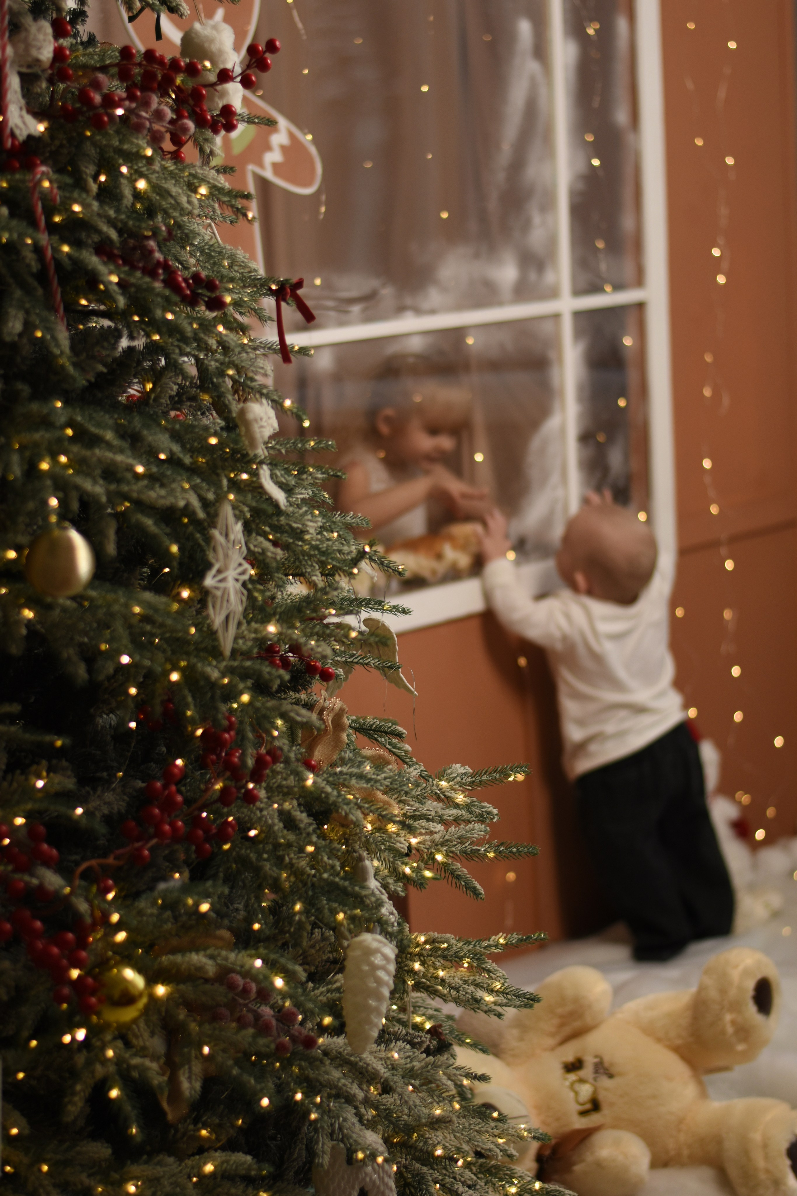 Новый Год. Семейный, детский и женский фотограф города Барнаул Кудаева Анастасия
