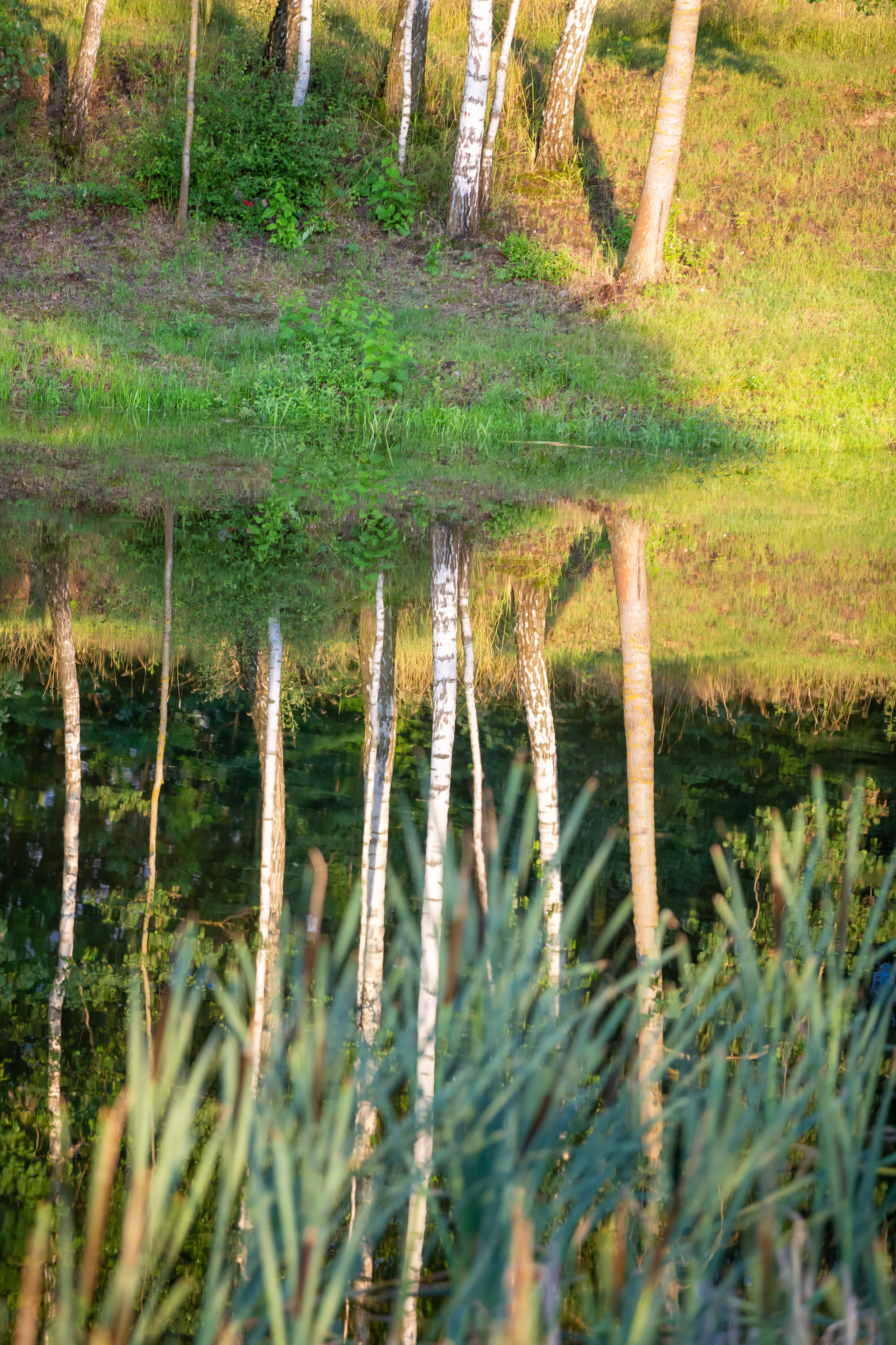 Фото Карлион, Купала. Свадебный фотограф в Барановичах Вячеслав Шах-Гусейнов, фотошкола