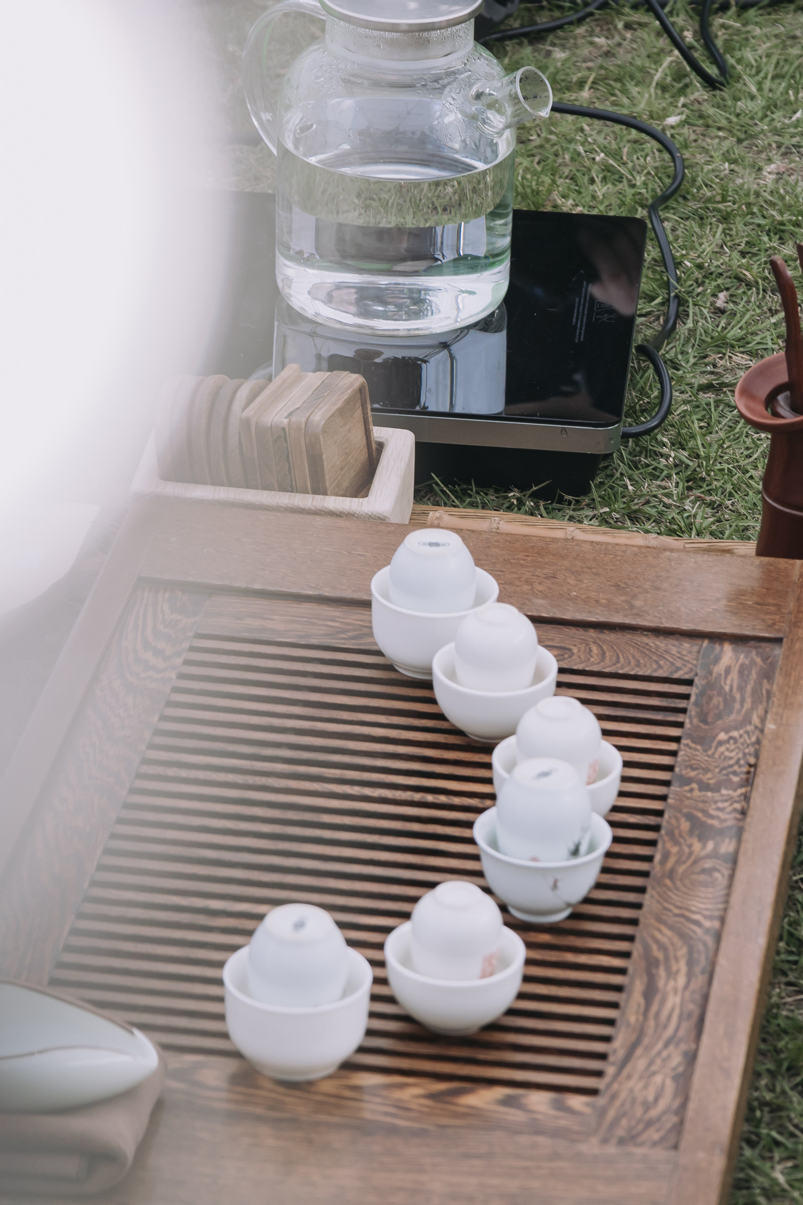 Корпоратив Природа. Репортажный фотограф Анастасия Головко