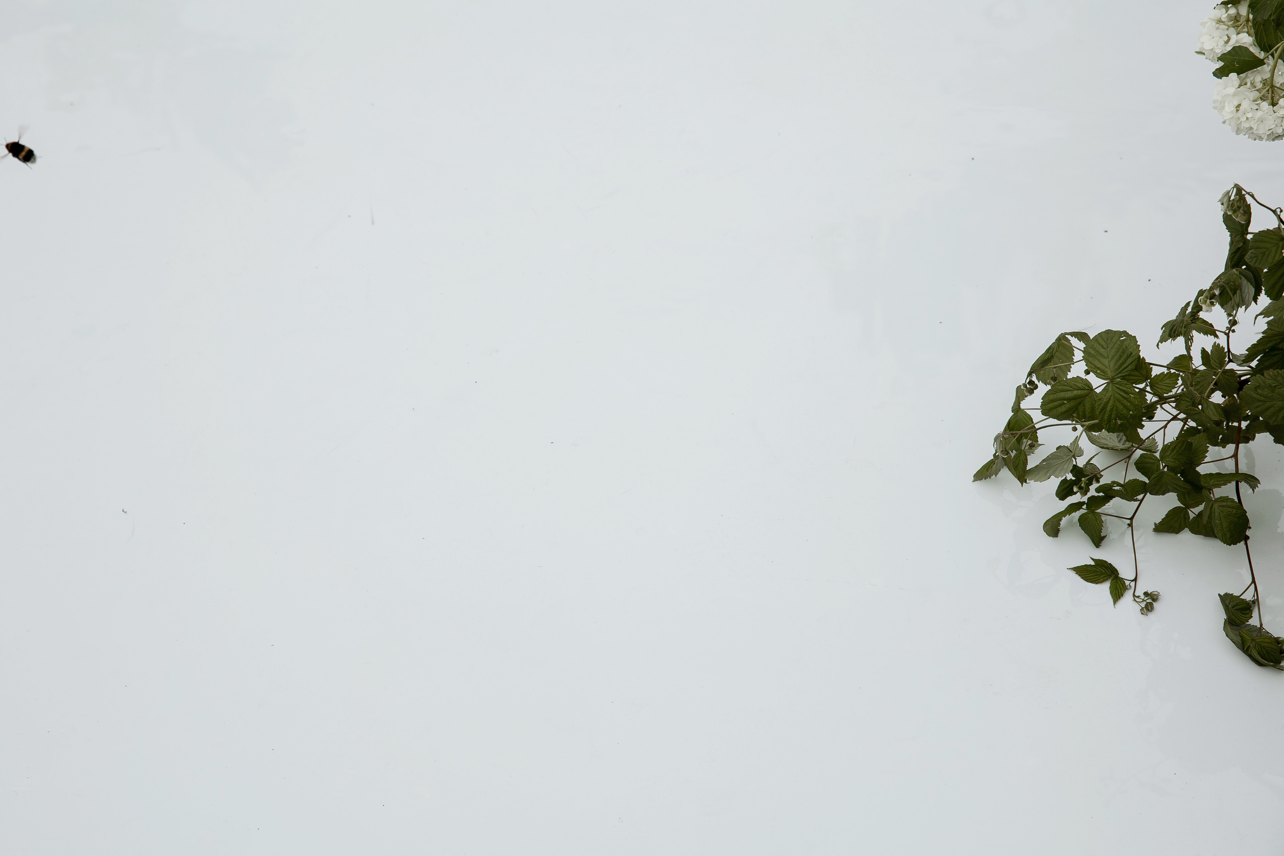 Wedding day Денис и Александра. Свадебный фотограф Колесников Антон