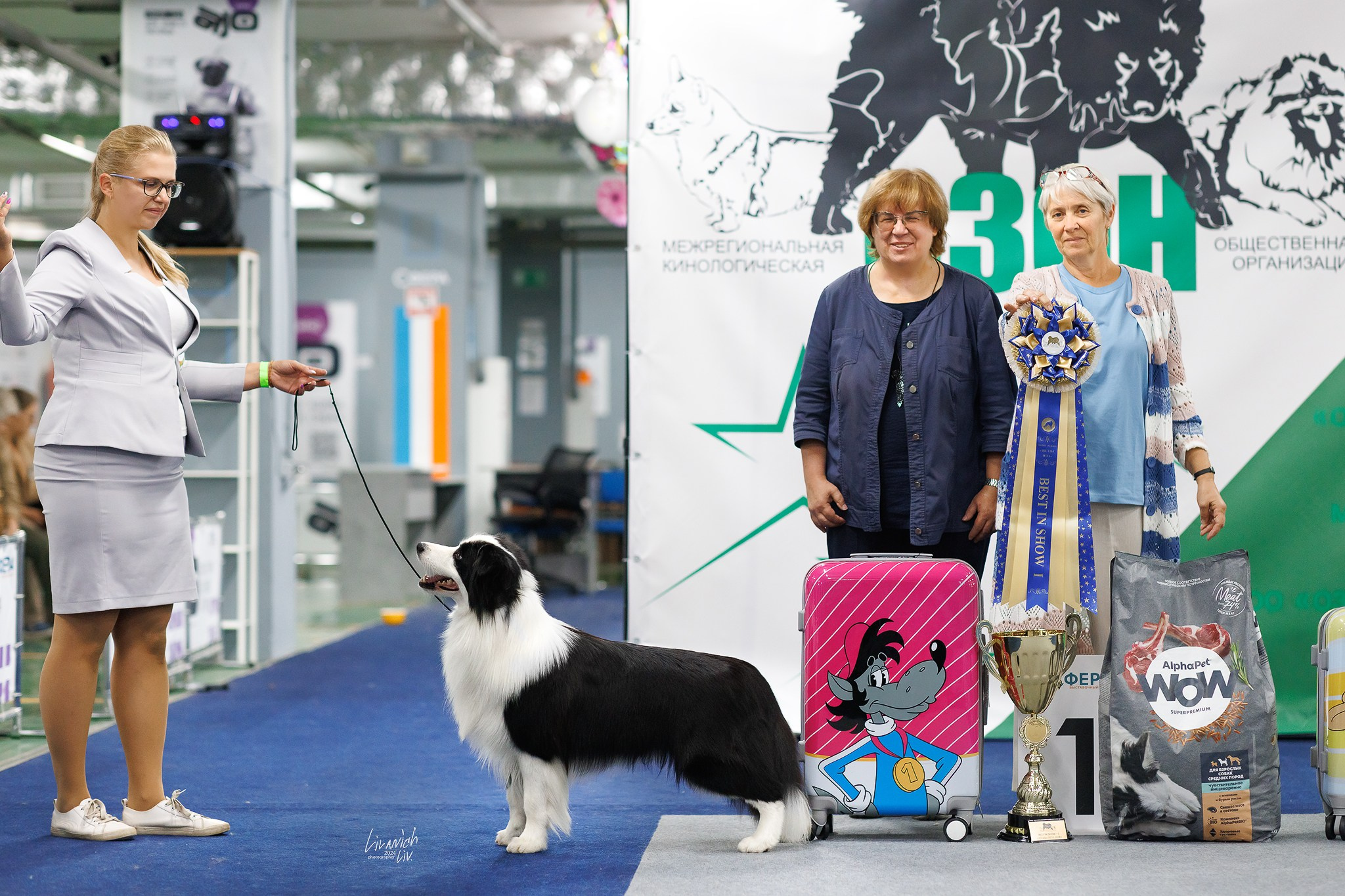 Выставки. Фотограф для вашей собаки