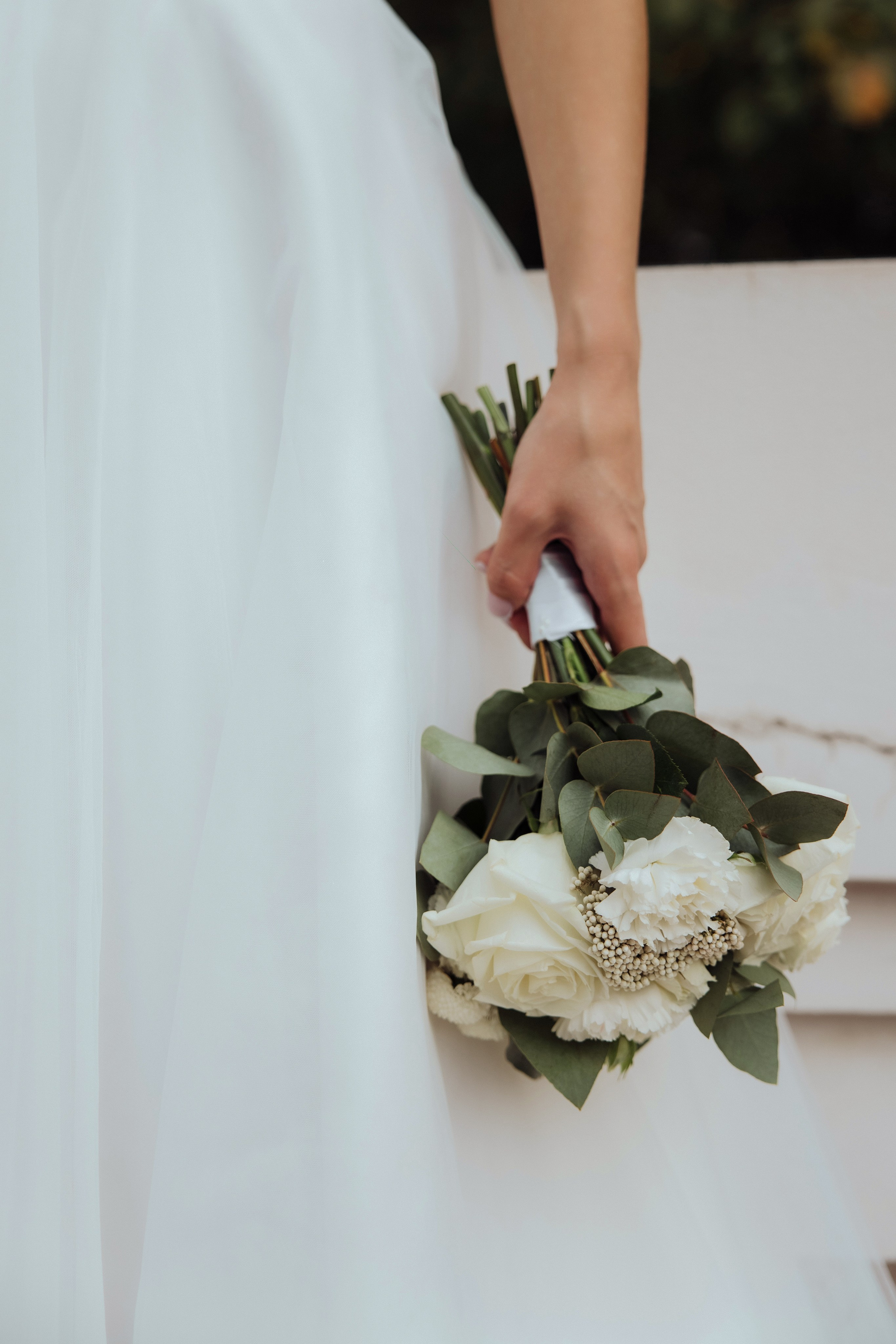 & Elvina. Главная