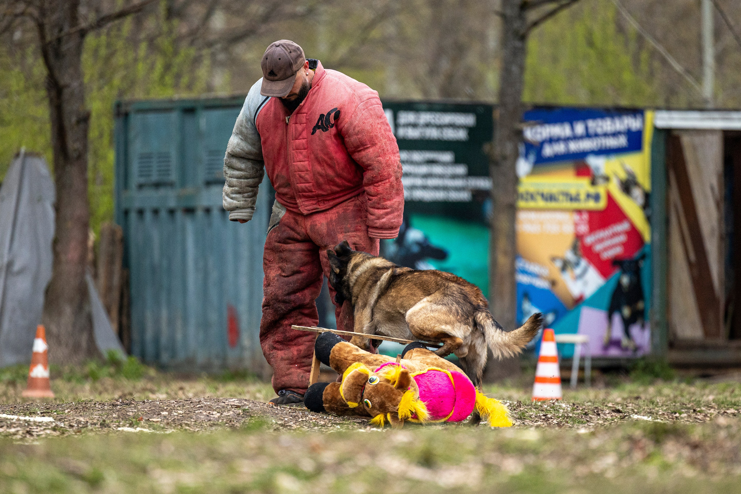 Квалификационные состязания по мондьорингу г. Вологда 11.05.24. Фотограф-анималист Анна Маринич