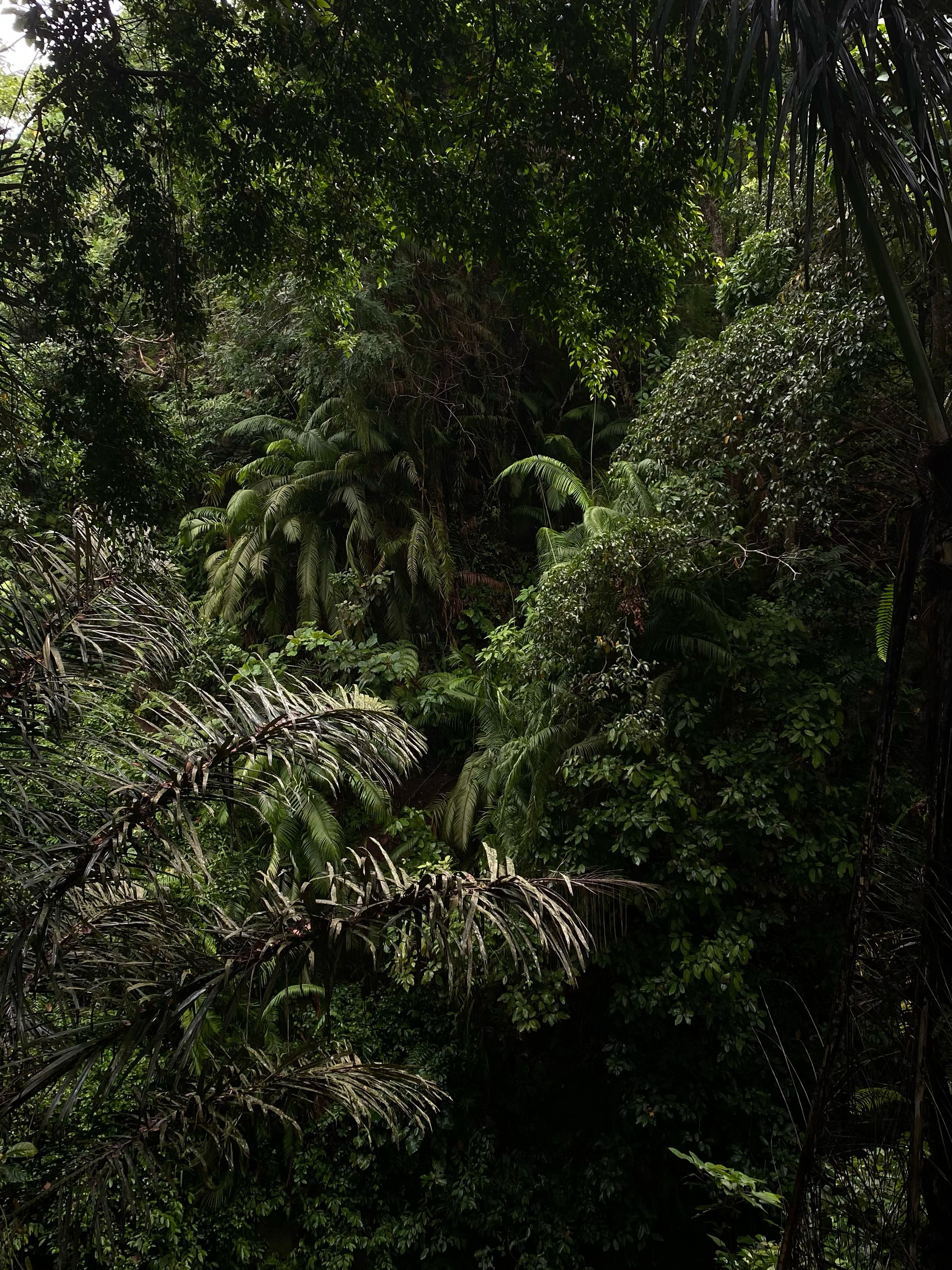 Asia. Olya Filina | Moscow Photographer