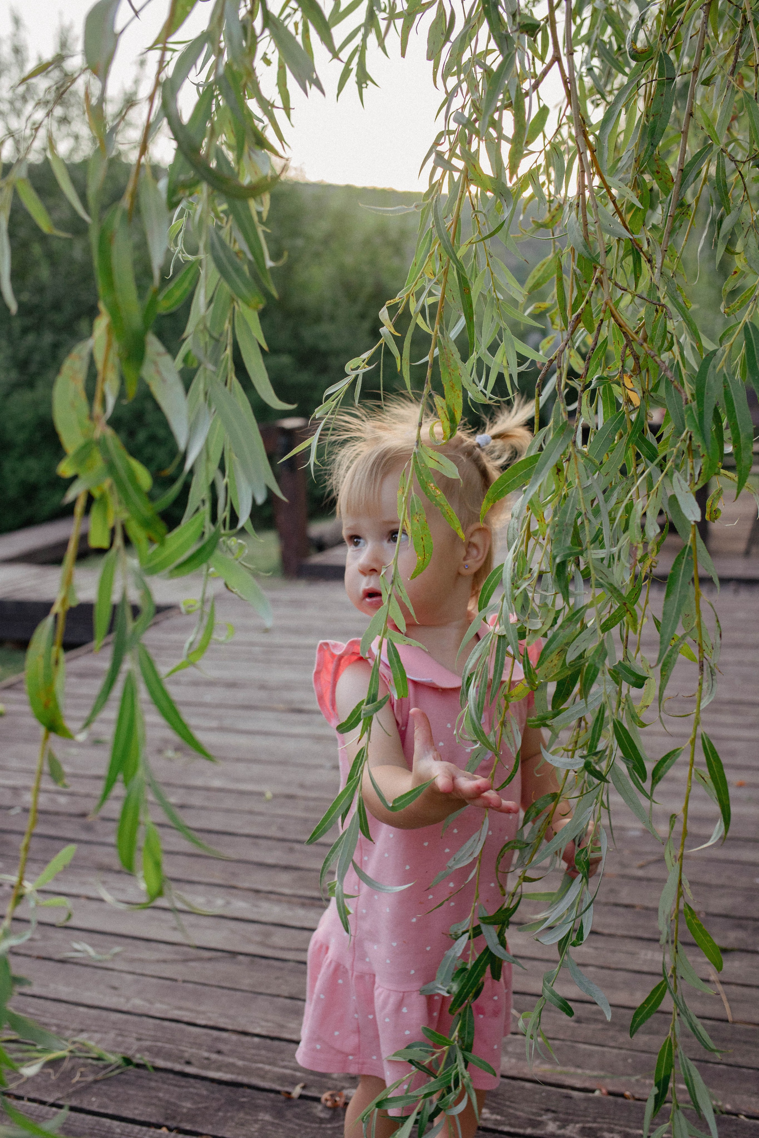 Узунджа. Фотограф Немазенко Ольга