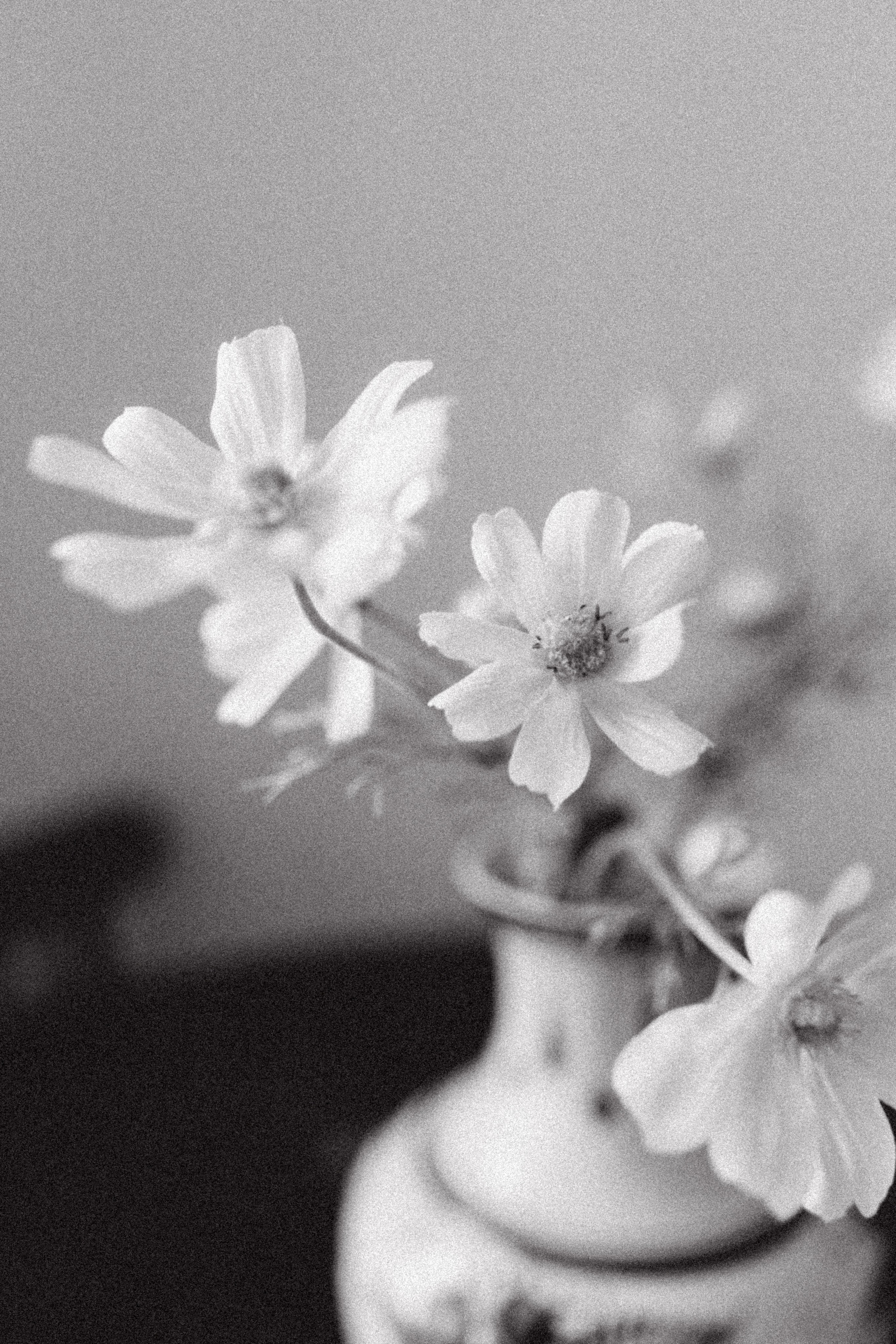 Прекрасная Лада. Семейный фотограф в Москве Алина Савченко