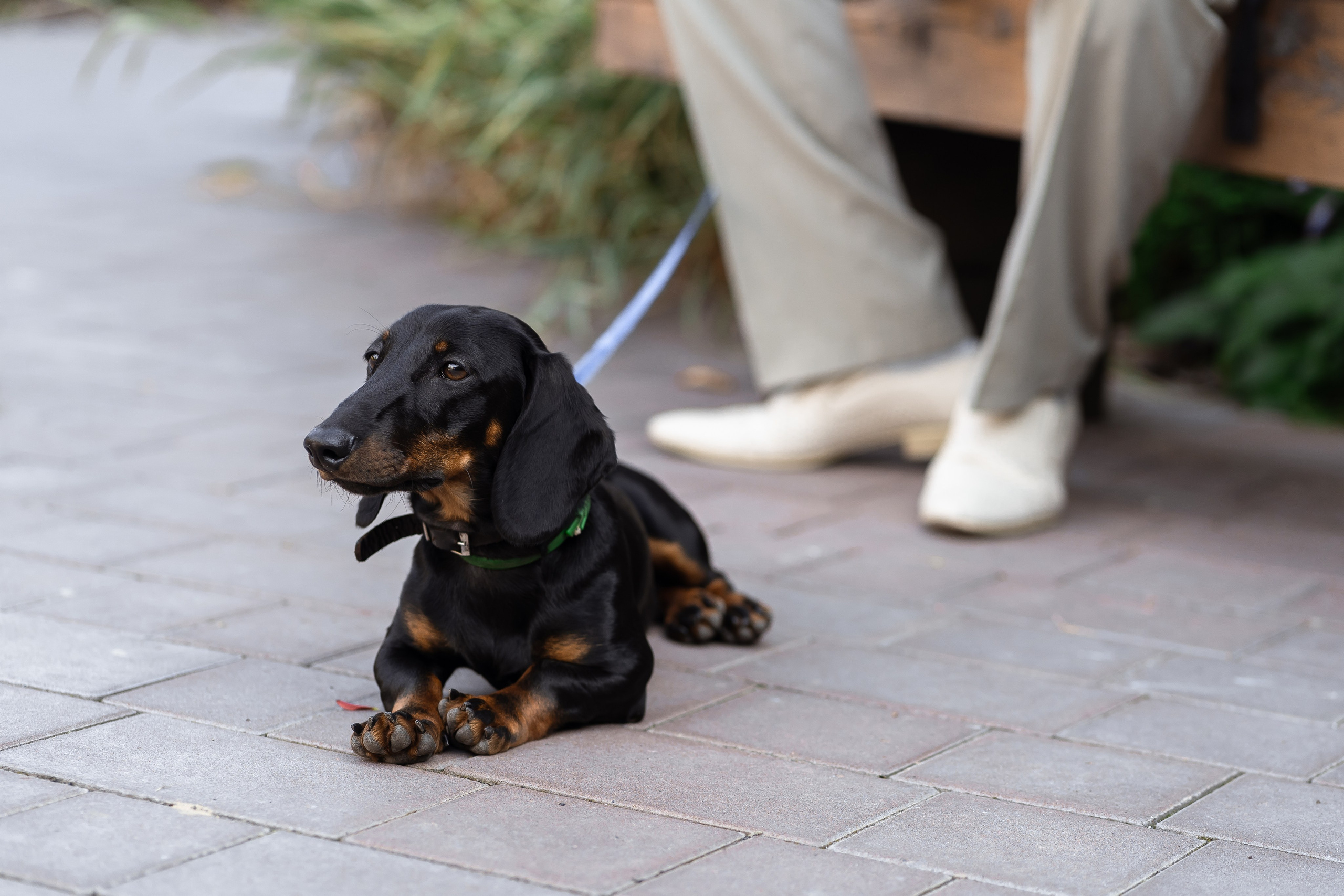 Олег & Юля. Свадебный фотограф в Воронеже Дарья Володарская