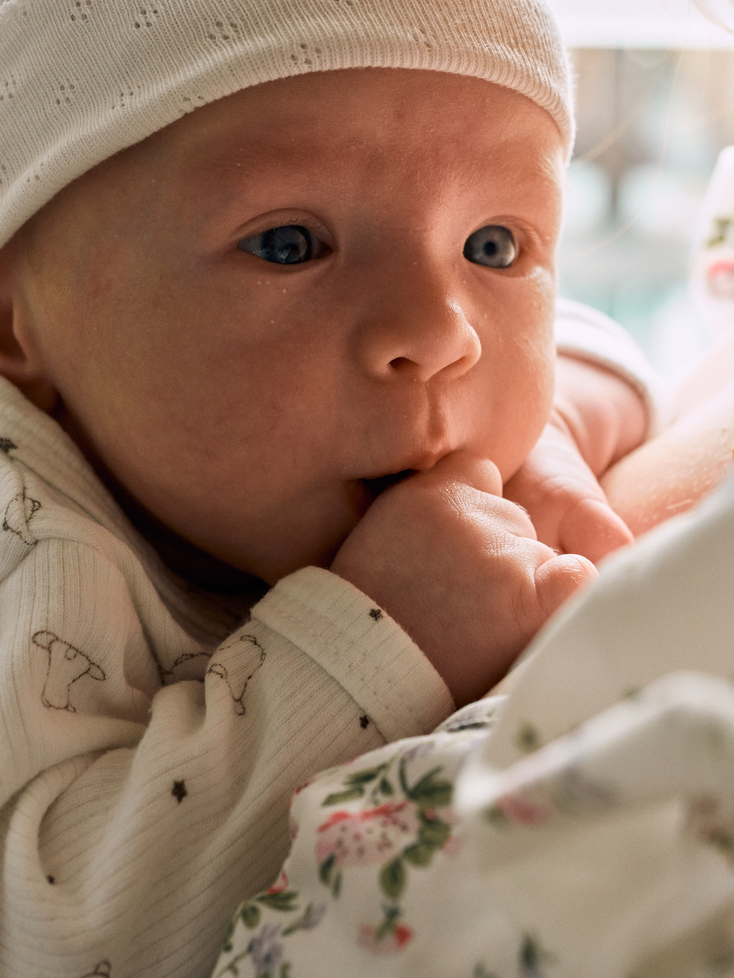 Family. Екатерина Ханенко — фотограф в Екатеринбурге