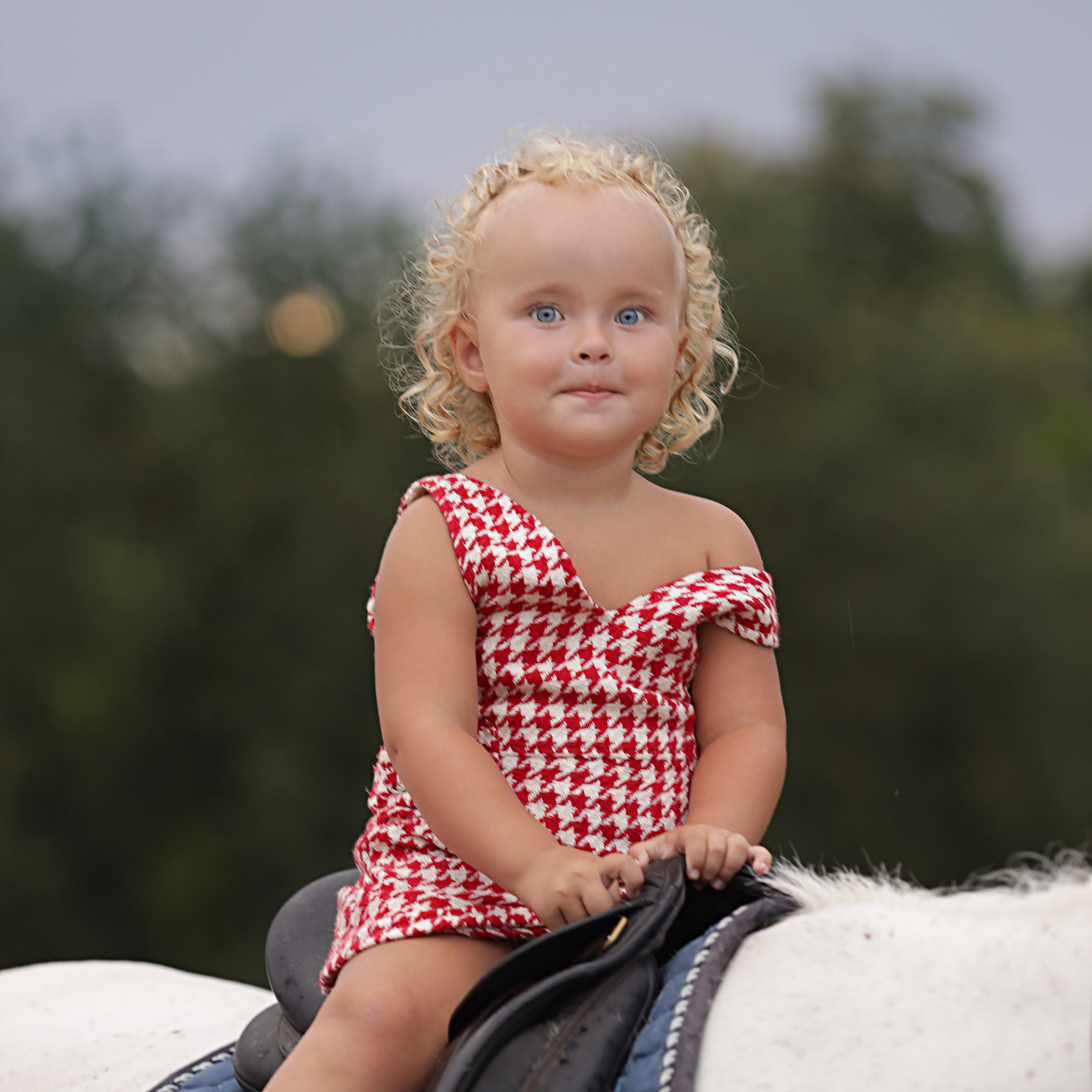 Семья Ксении. Свадебный и семейный фотограф в Ульяновске Орешина Елена