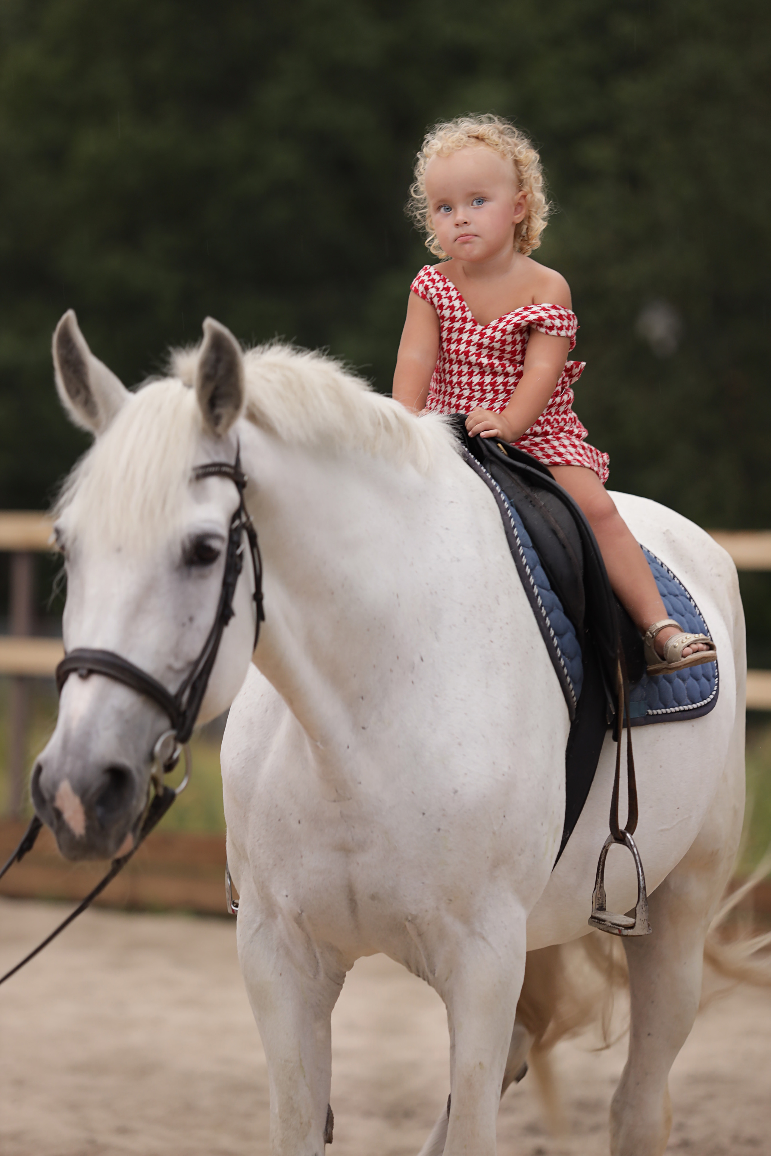 Семья Ксении. Свадебный и семейный фотограф в Ульяновске Орешина Елена