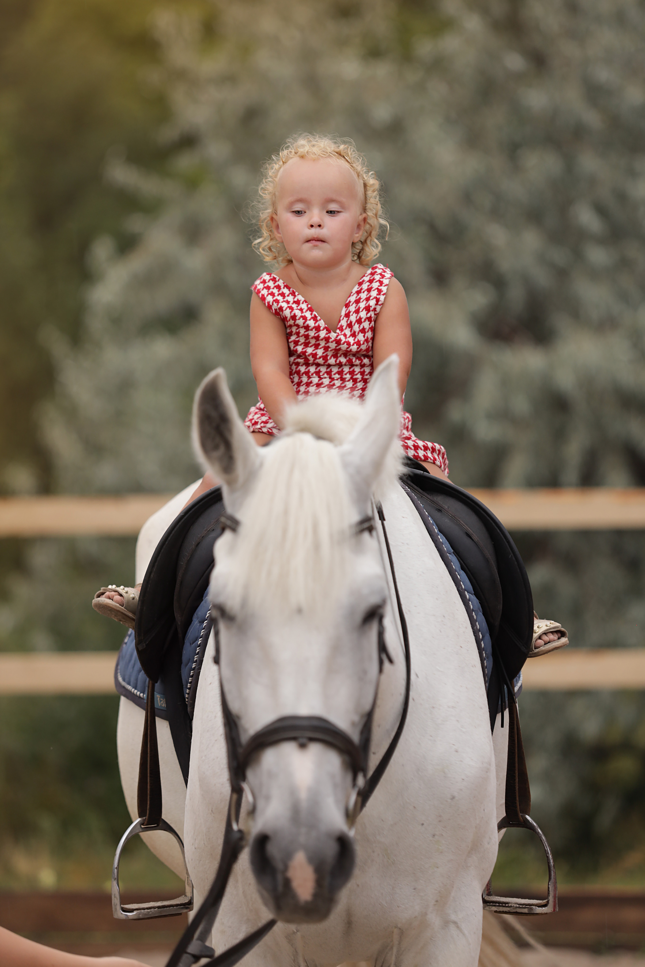 Семья Ксении. Свадебный и семейный фотограф в Ульяновске Орешина Елена