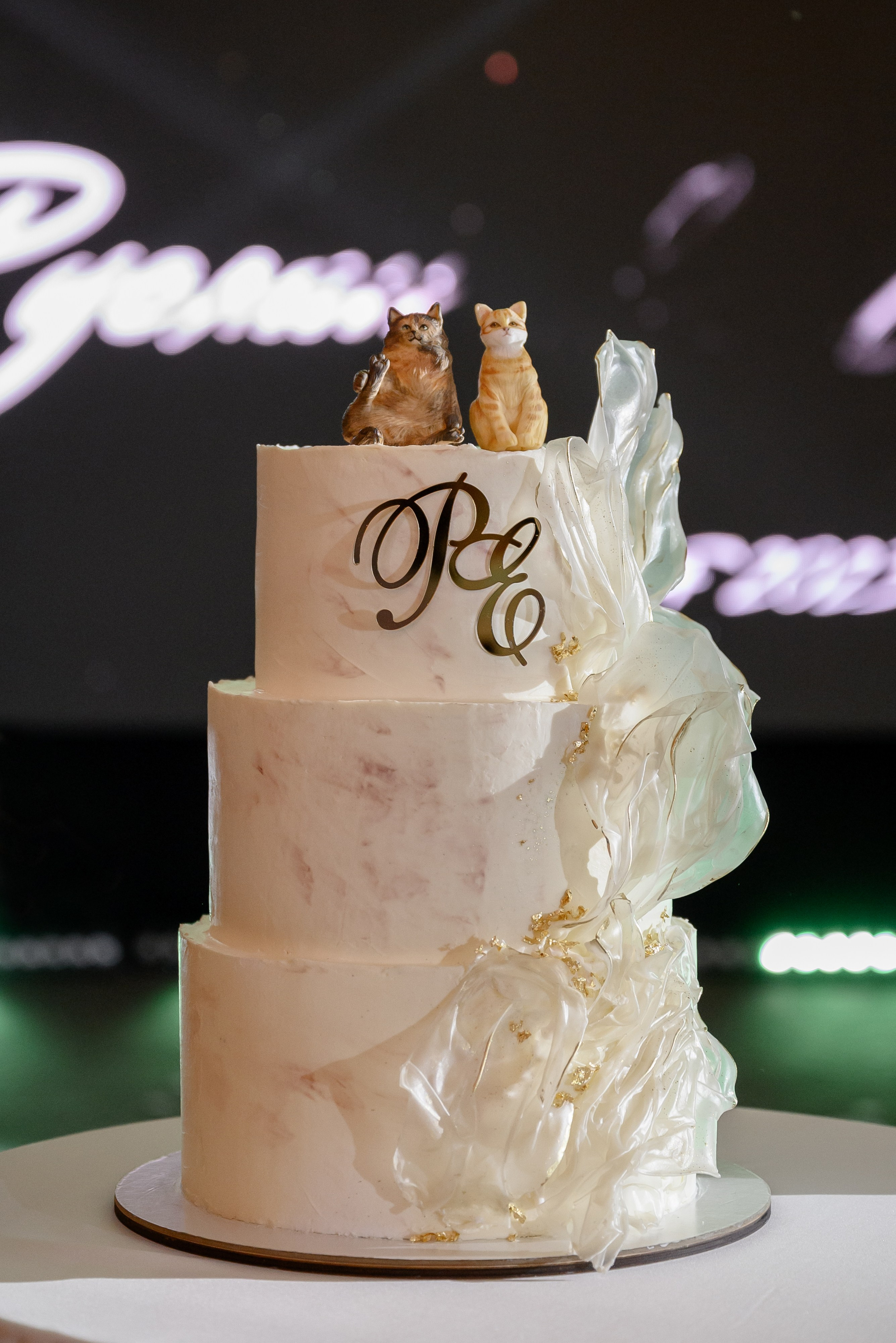 Ruslan & Elena. Свадебный организатор в Ростове-на-Дону Яснов Роман