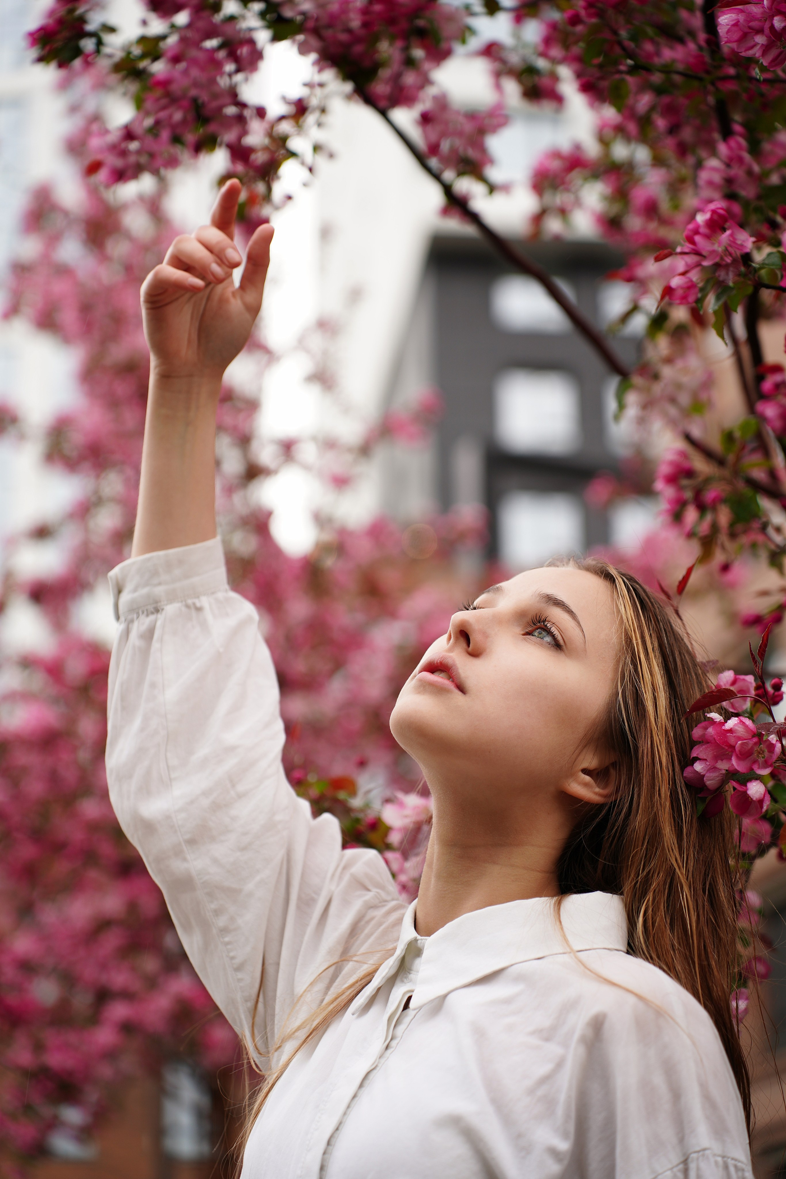 Оля Башкирская Сакура. Pupov.png