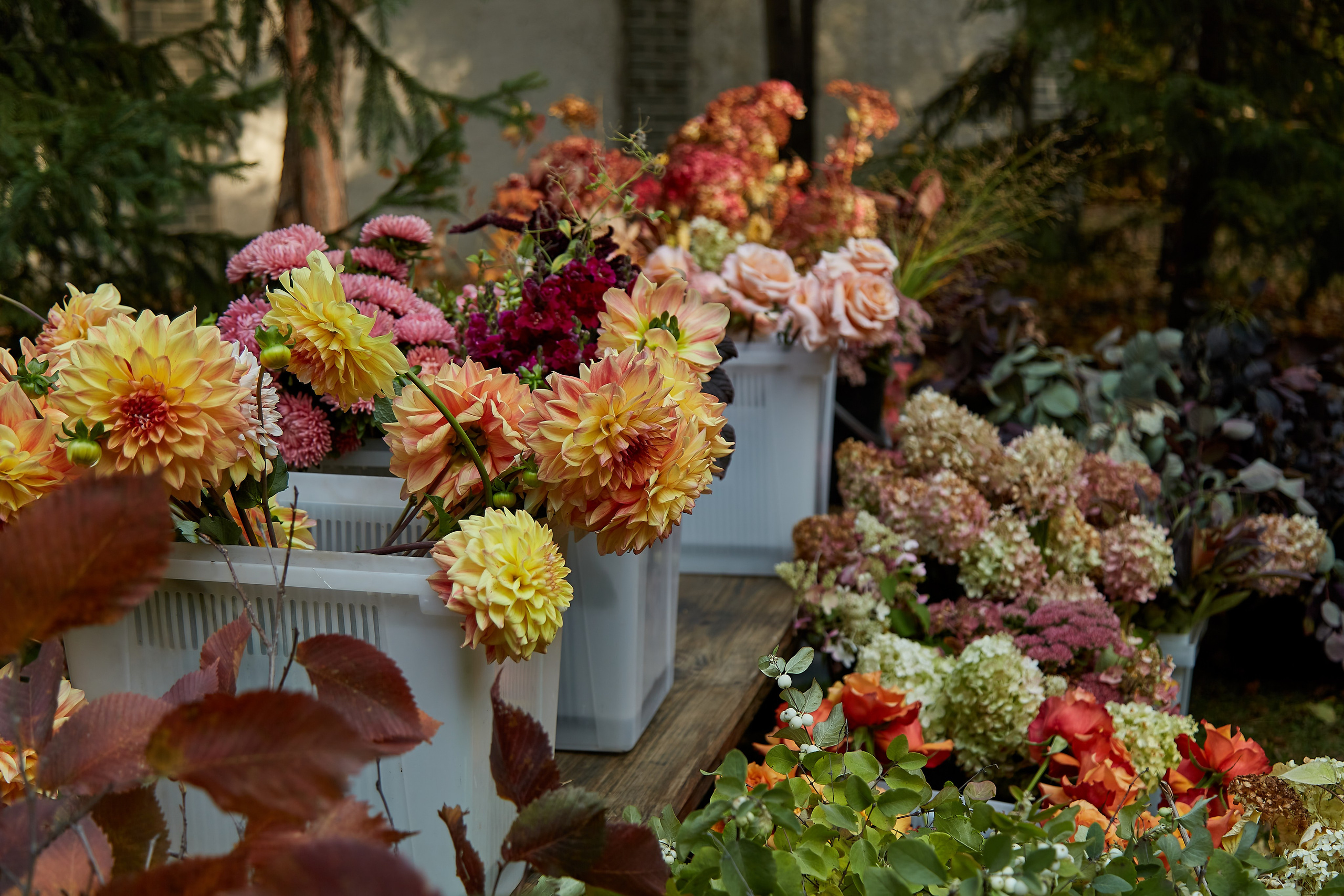 Ирина и мастер класс по декорации. Фотограф Барнаул Фатыхов Тимур
