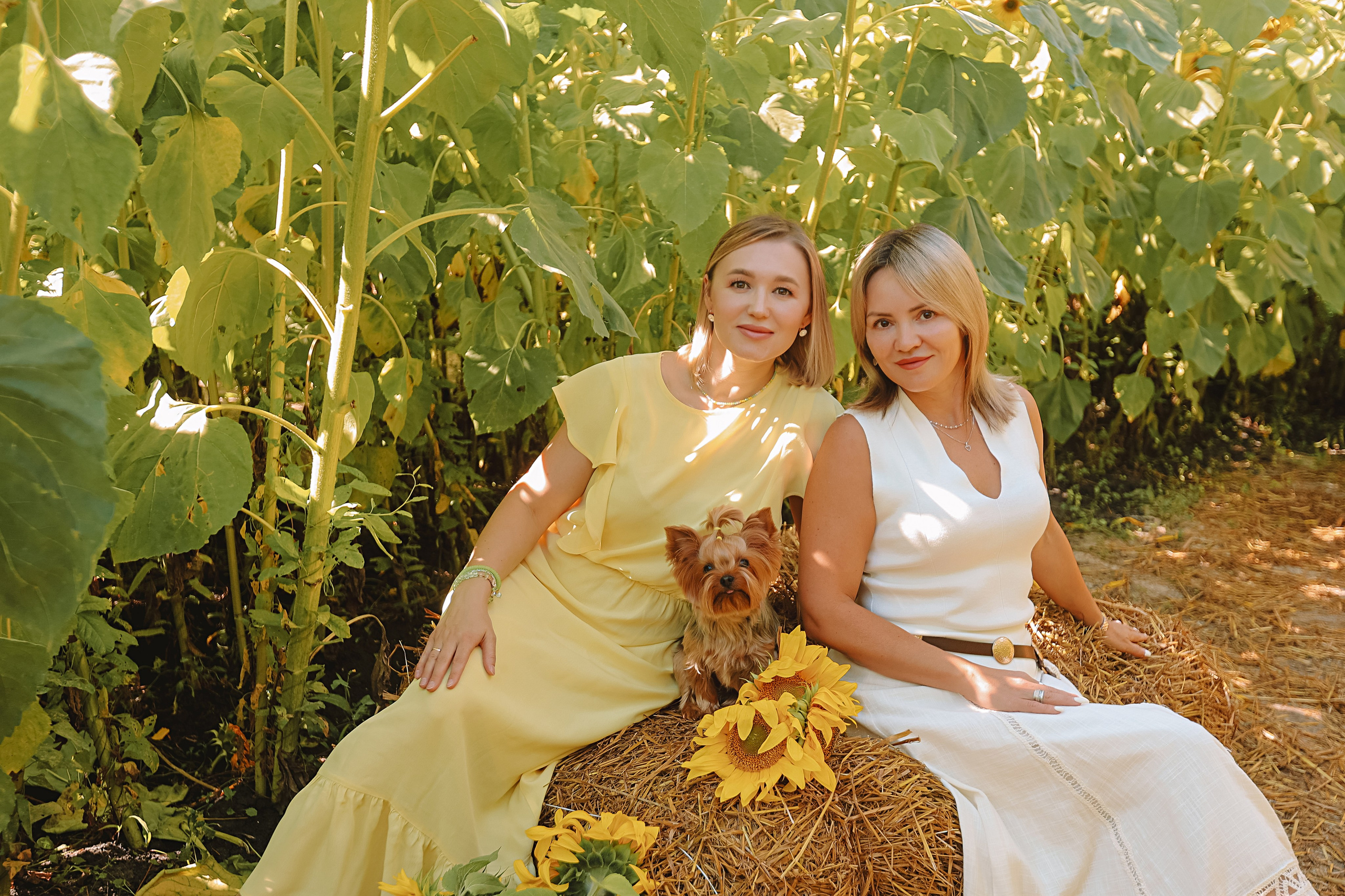 Подсолнухи. Семейный фотограф Тюмень, фотограф на роды Салмина Мария