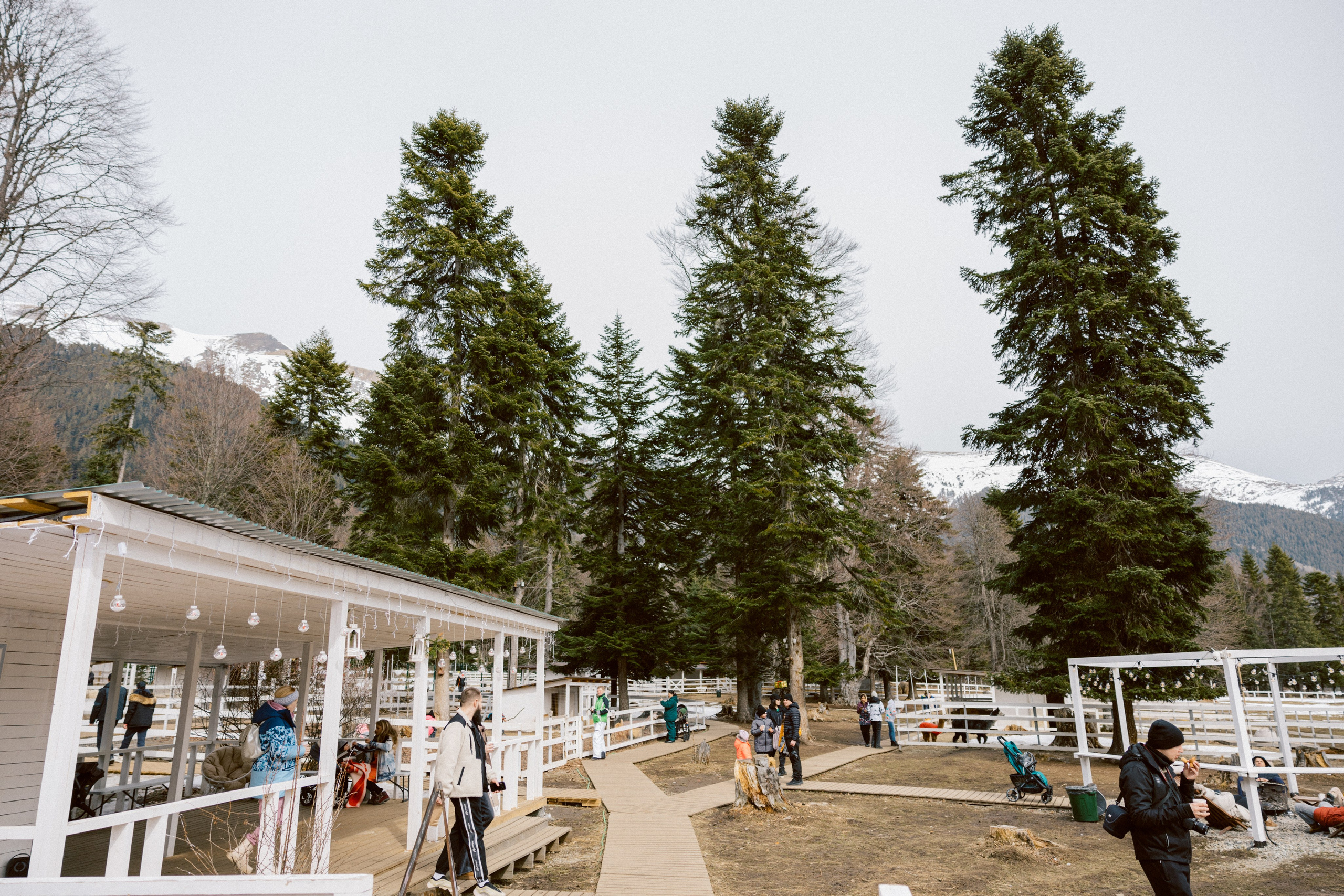 Тур, Архыз. Фотограф Эдуарда Титанян