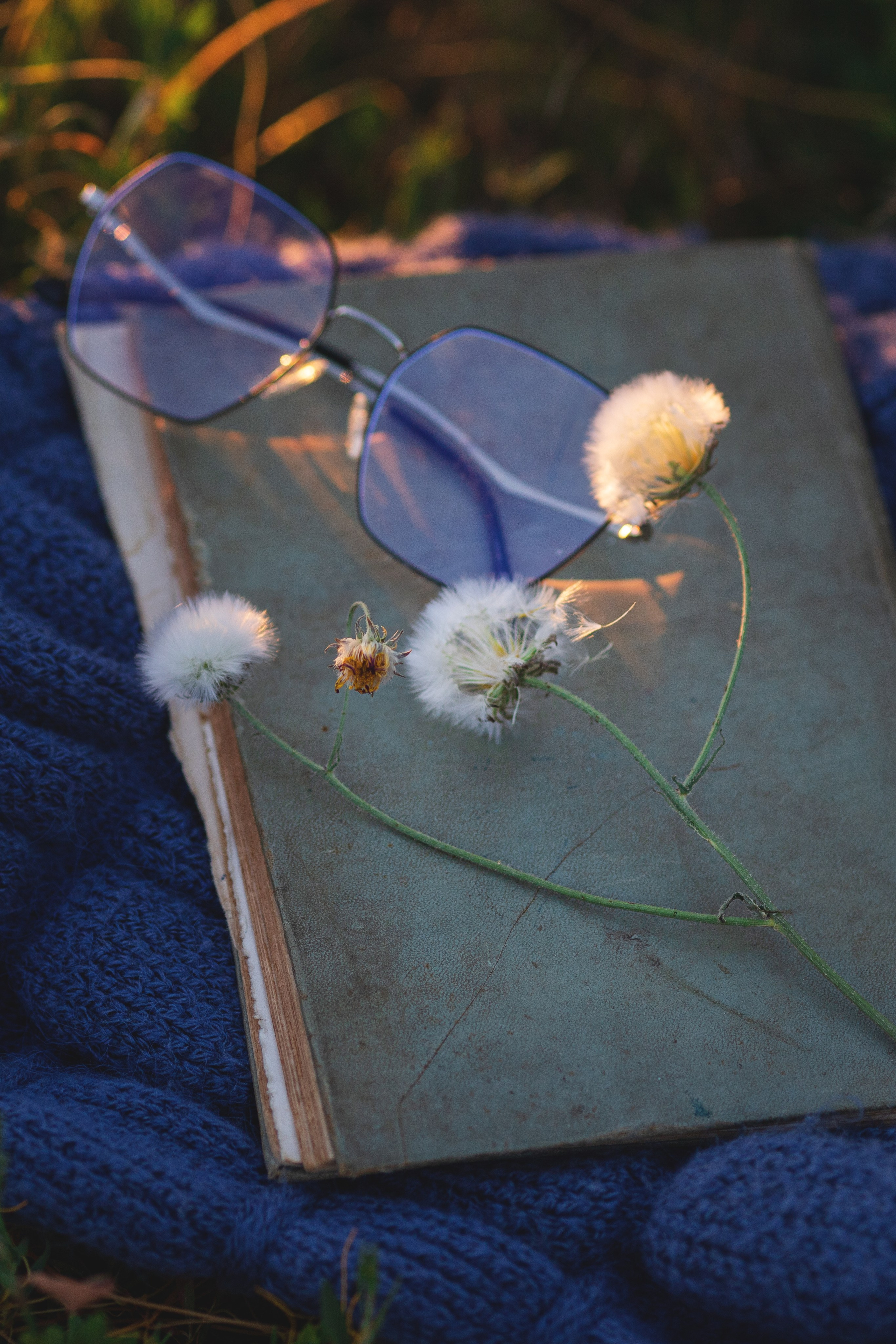 Письмо Татьяны к Онегину. Семейный и детский фотограф в Крыму Анна Фурса