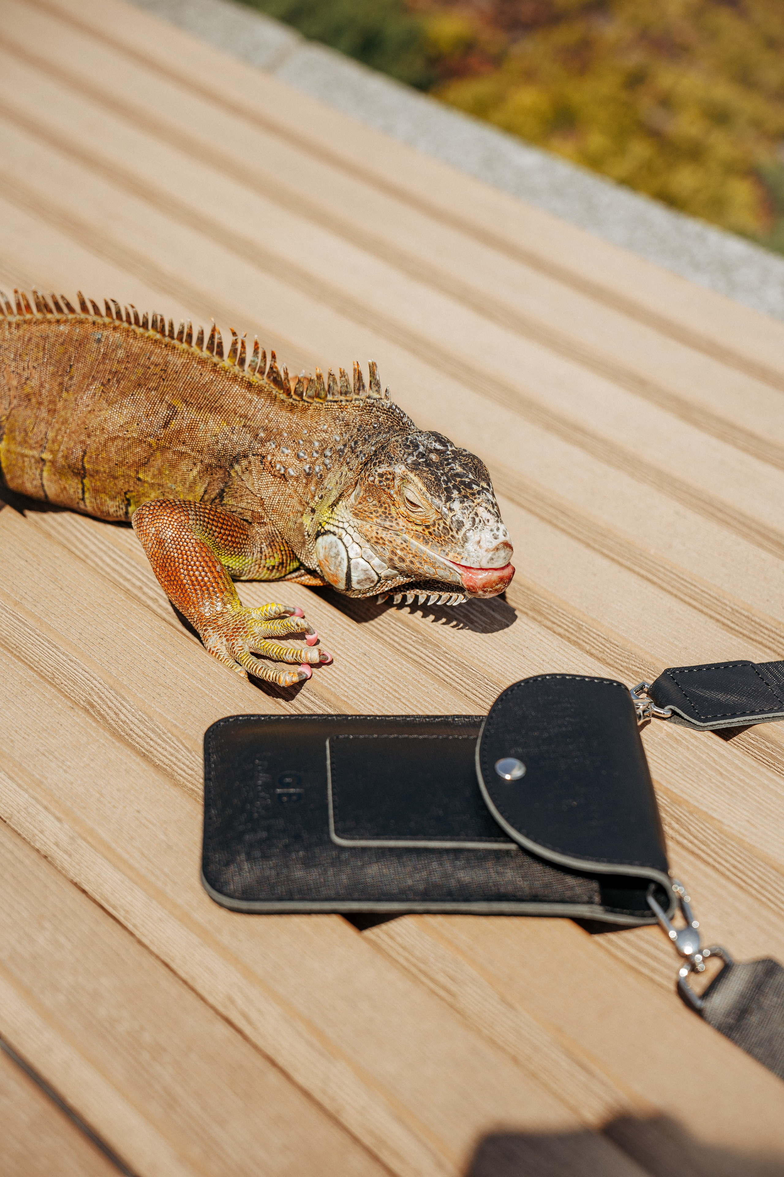 «GB Collection» — фотосессия Питерского бренда аксессуаров. Профессиональный фотограф в Санкт-Петербурге Александр Волосенцев