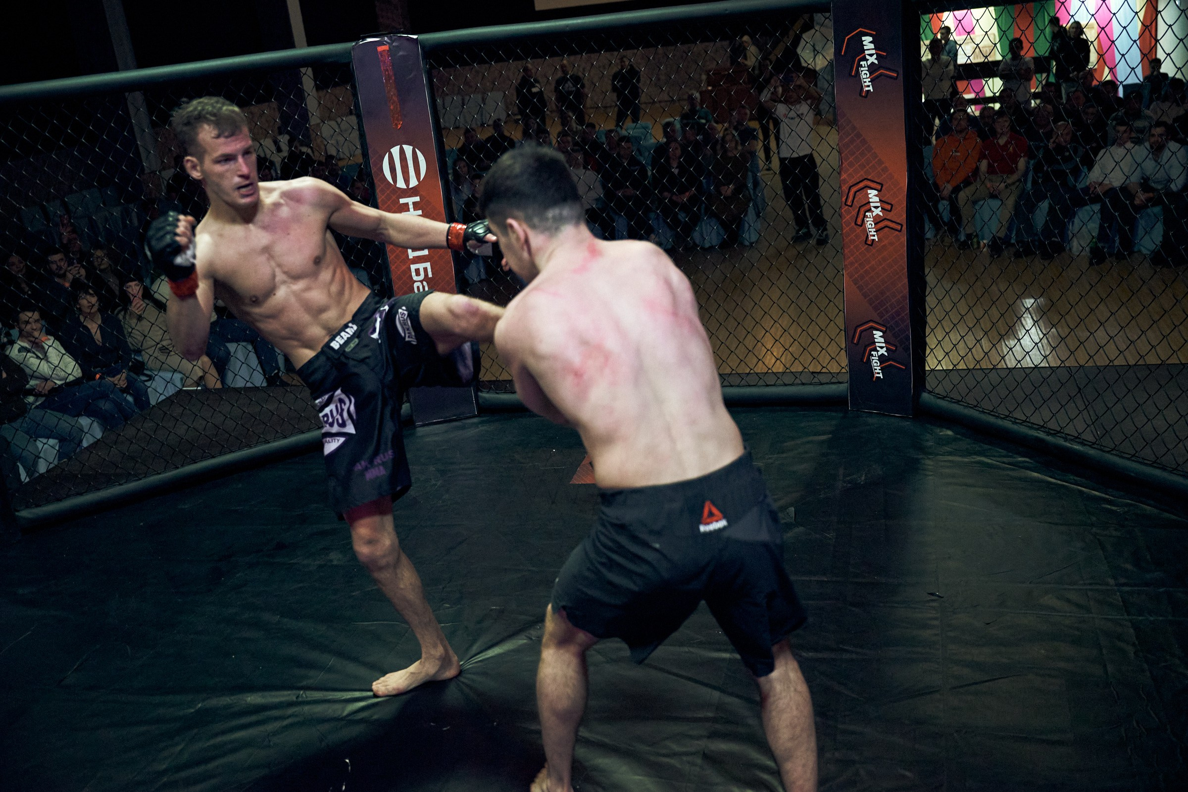 Бои. Маляревич Дмитрий свадебный фотограф