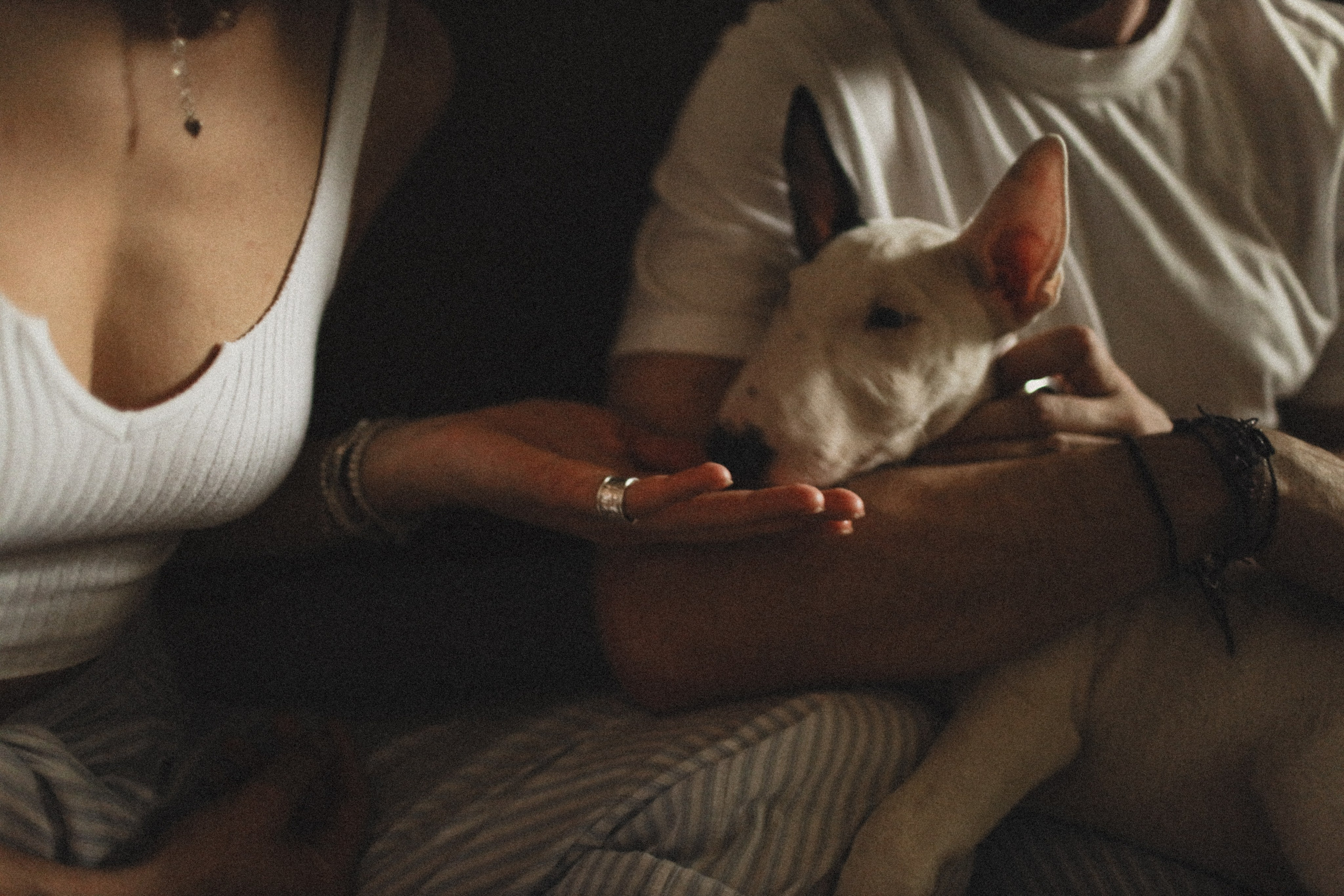 Стих Муза. Свадебный и семейный фотограф Москва, Спб, Крым Игорь Сазонов