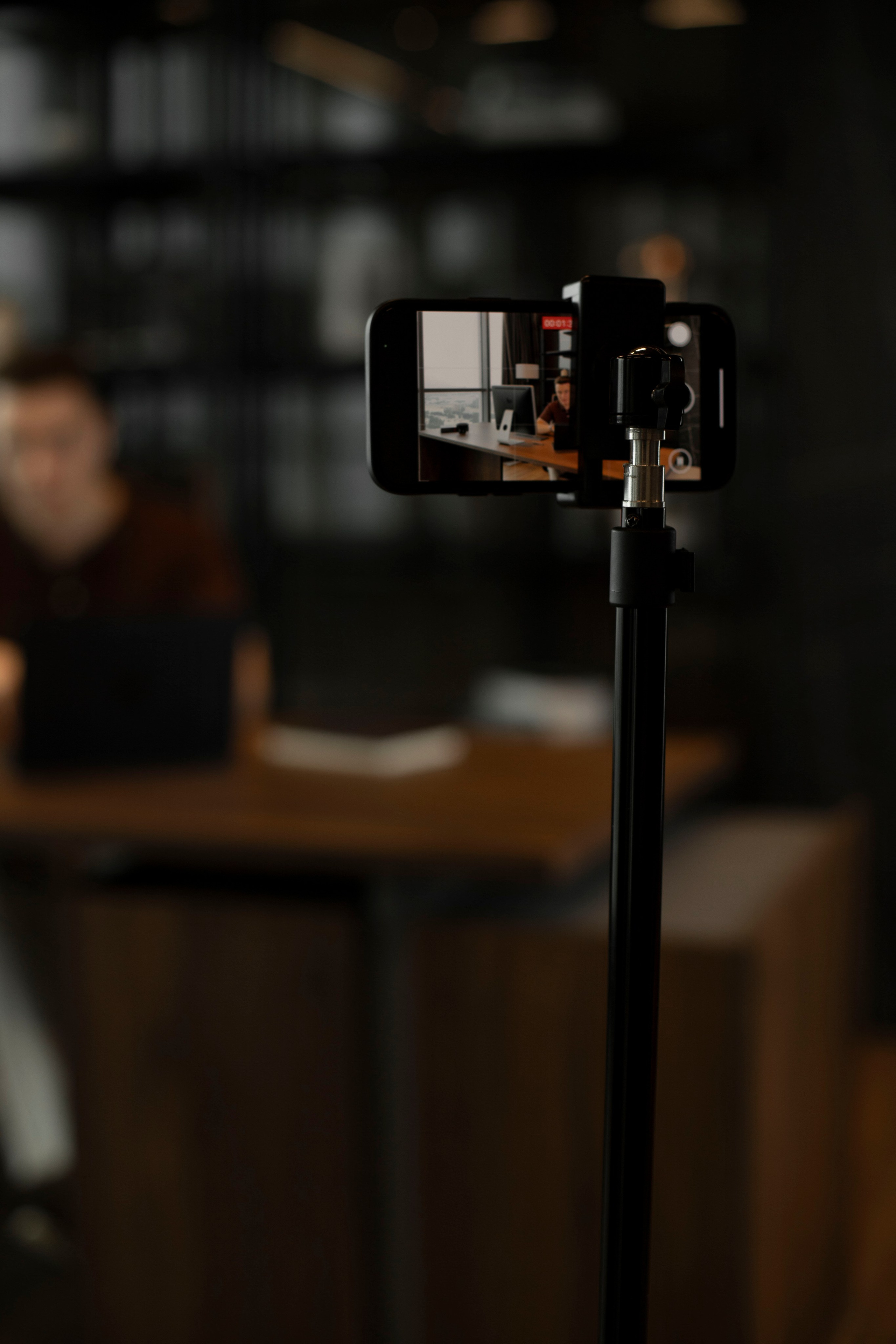 Портретная фотосъемка — Василиса Сокол, фотограф в Санкт-Петербурге