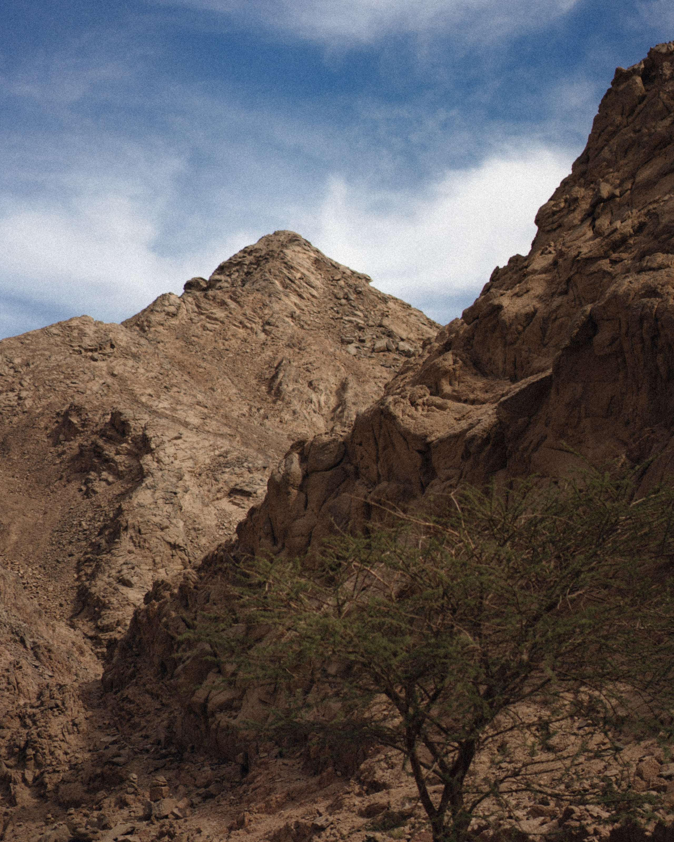 Арабика. Никита Погосов