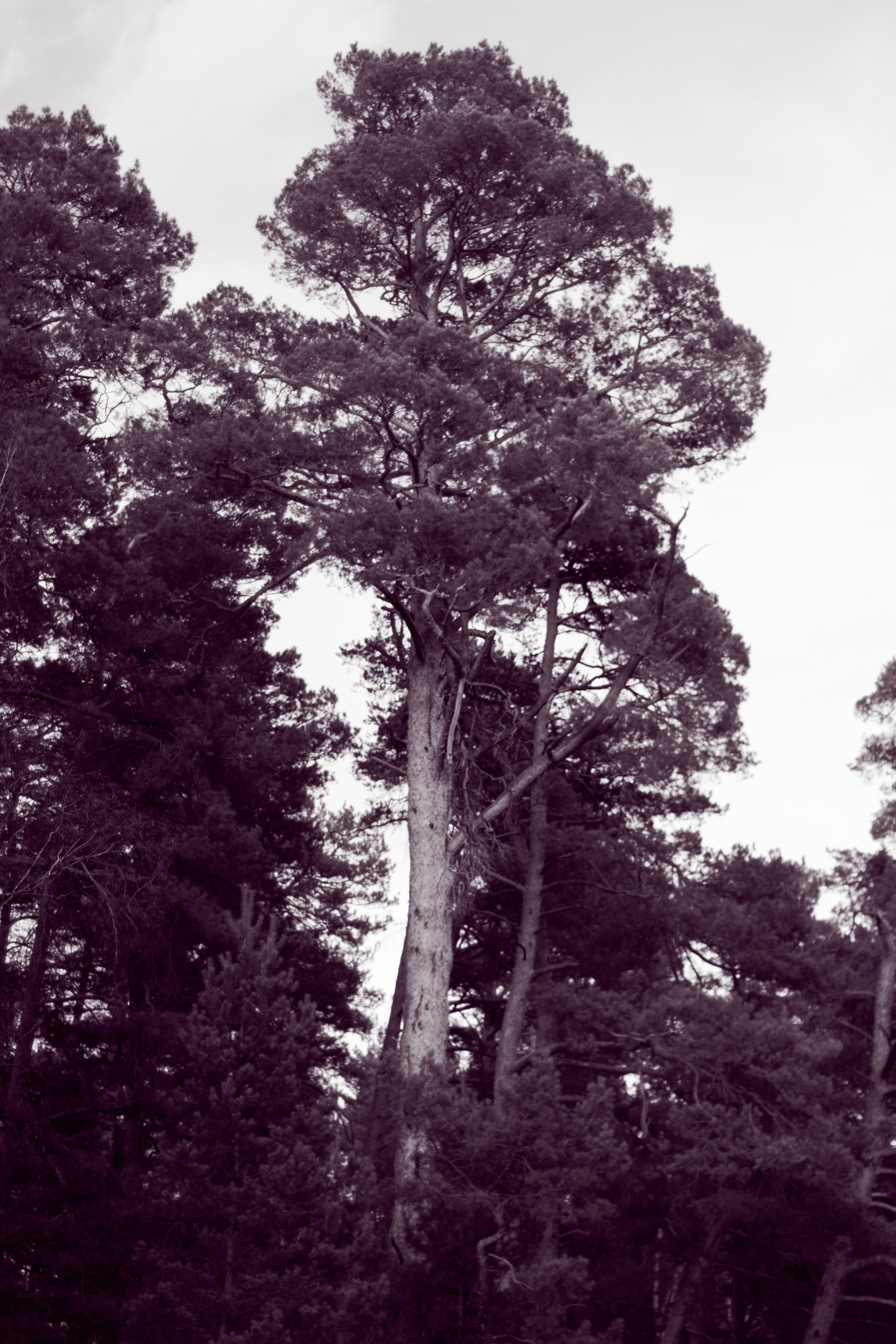  Фотограф: Ожерельев Лев