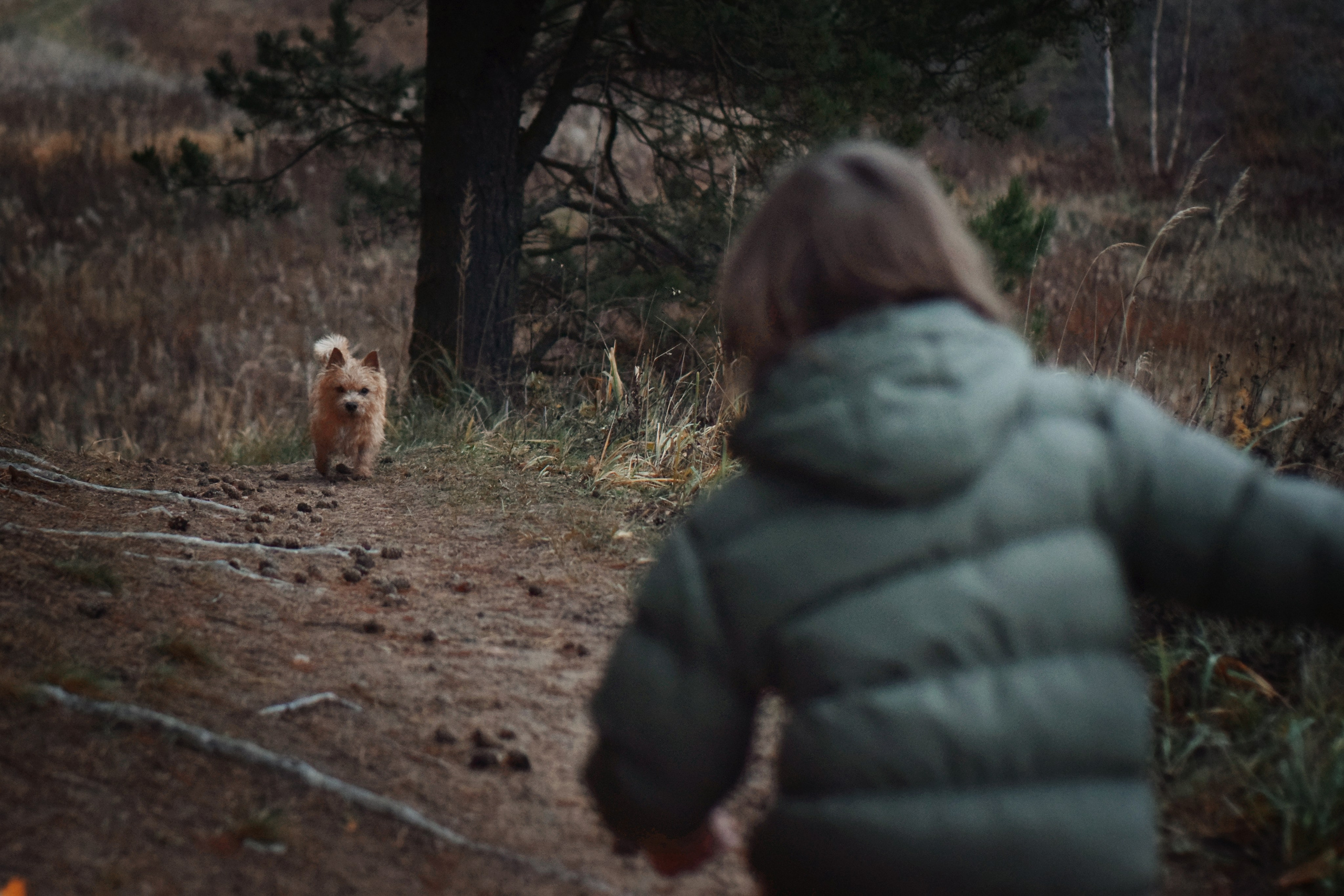 История большой дружбы. Семейный и детский фотограф